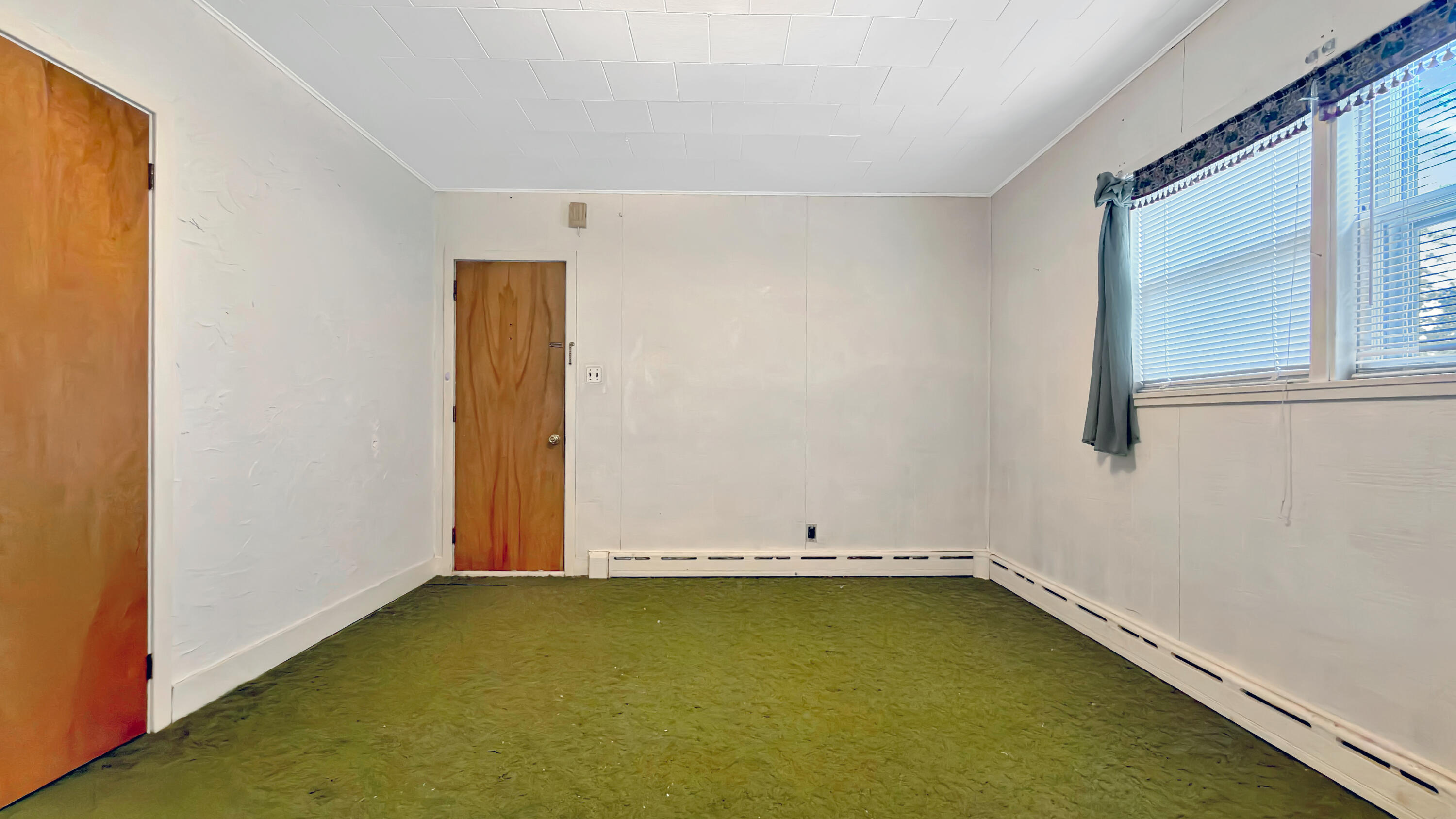 19 Macarthur Avenue Property Photo 45