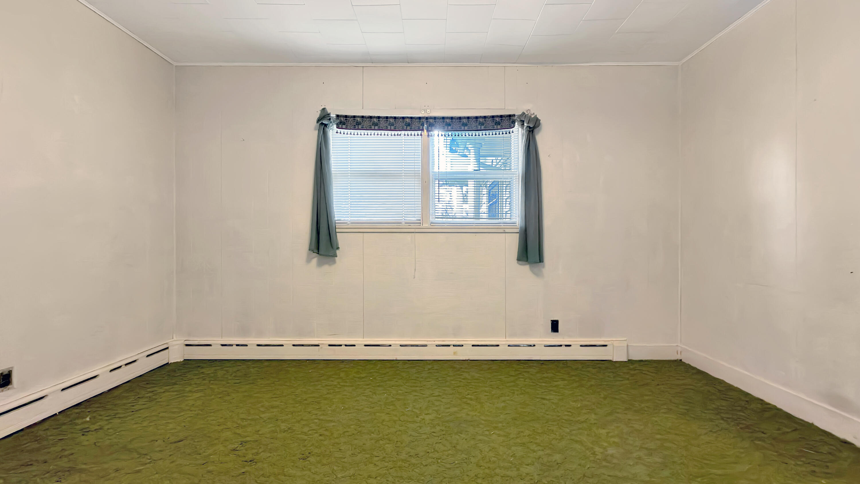 19 Macarthur Avenue Property Photo 46