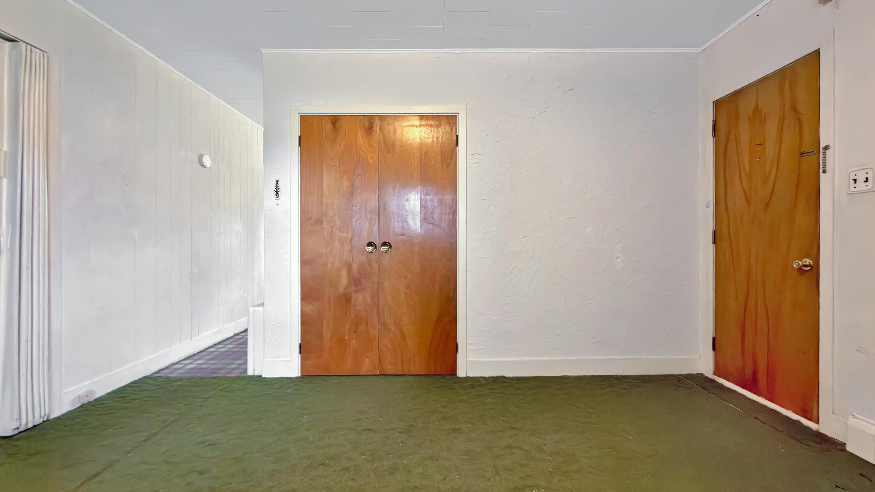 19 Macarthur Avenue Property Photo 47