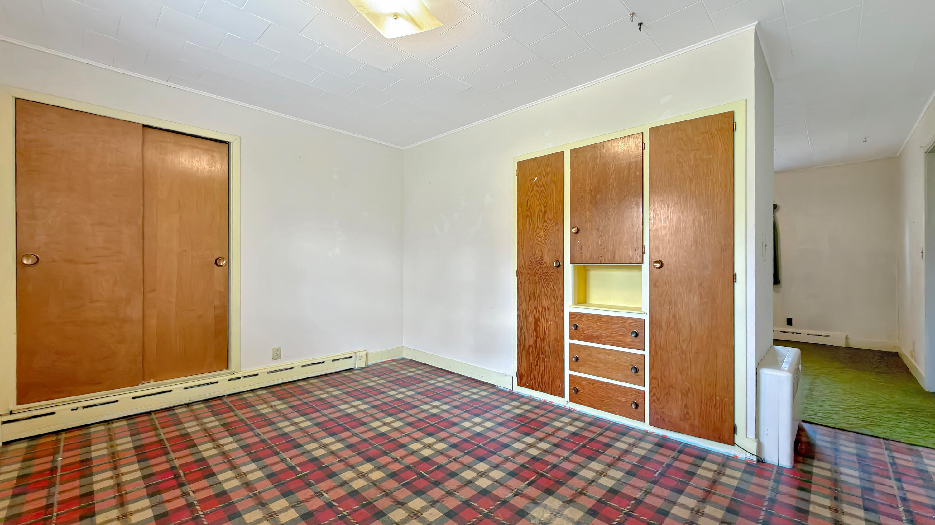 19 Macarthur Avenue Property Photo 48