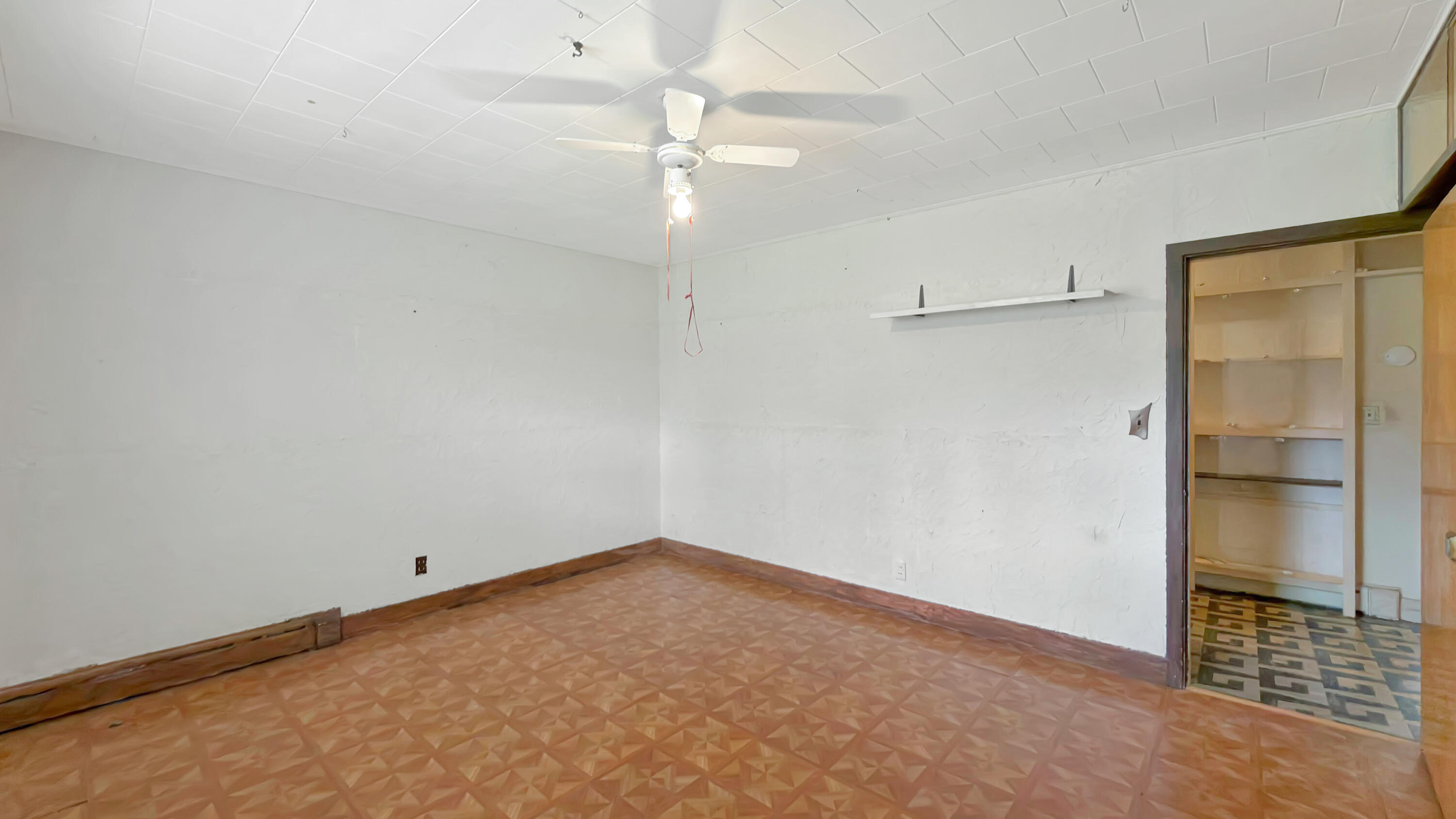 19 Macarthur Avenue Property Photo 52