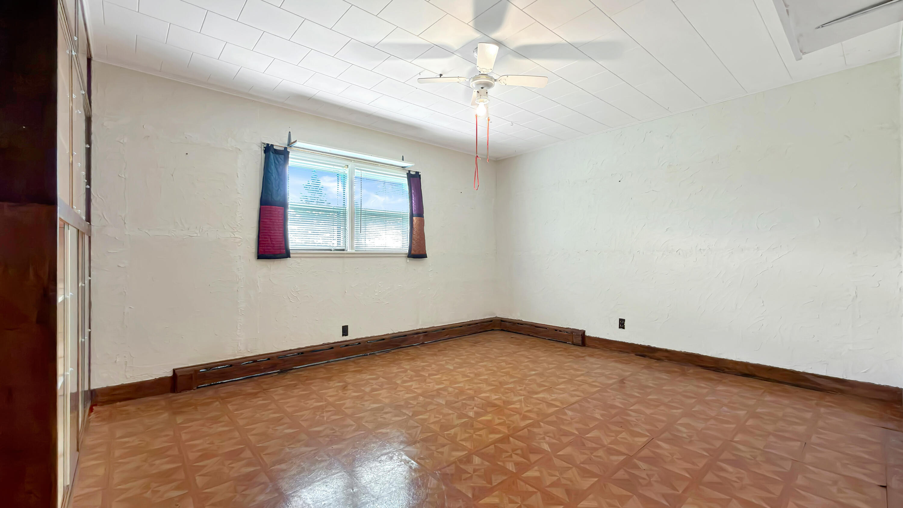 19 Macarthur Avenue Property Photo 54