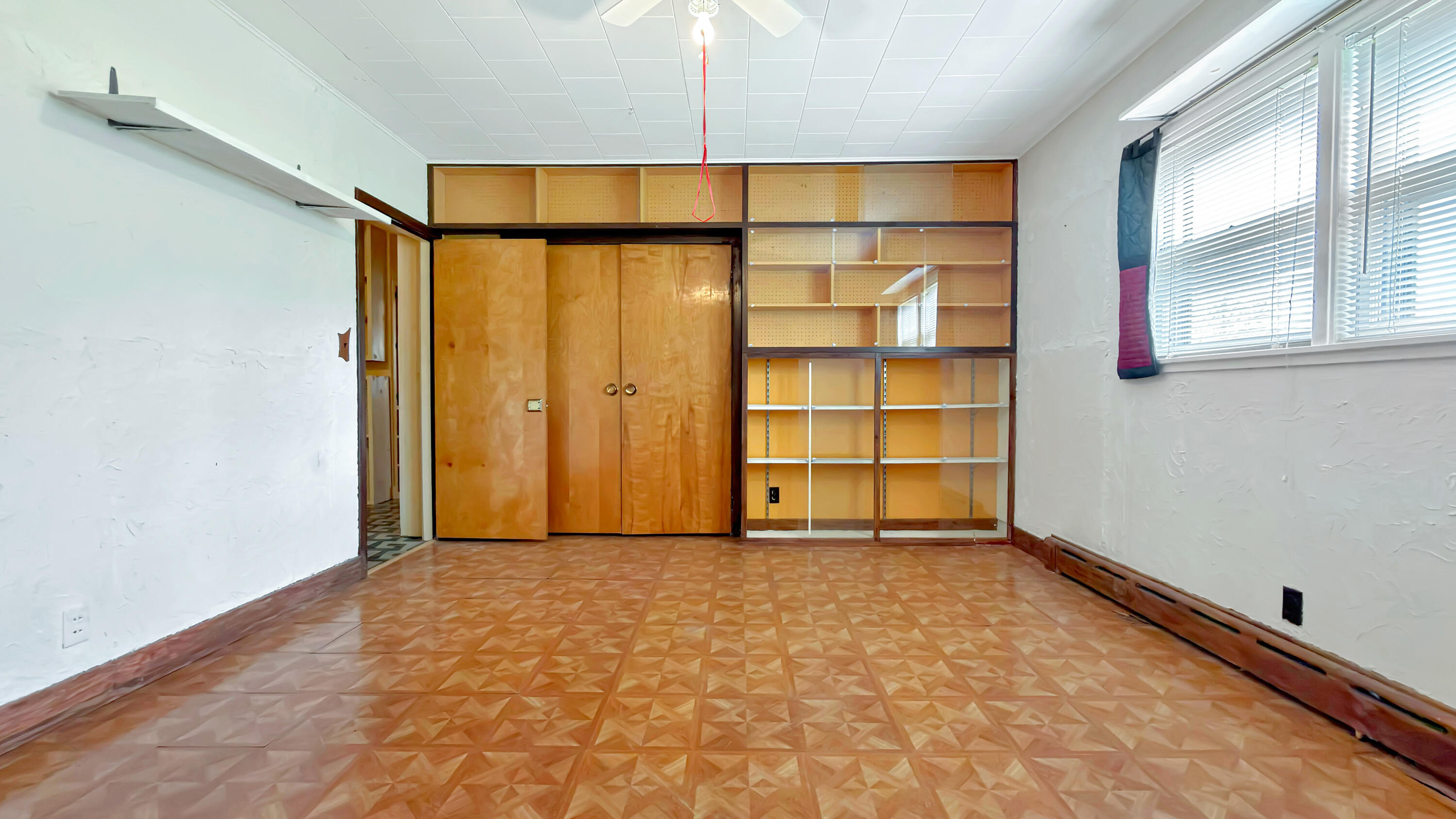 19 Macarthur Avenue Property Photo 55