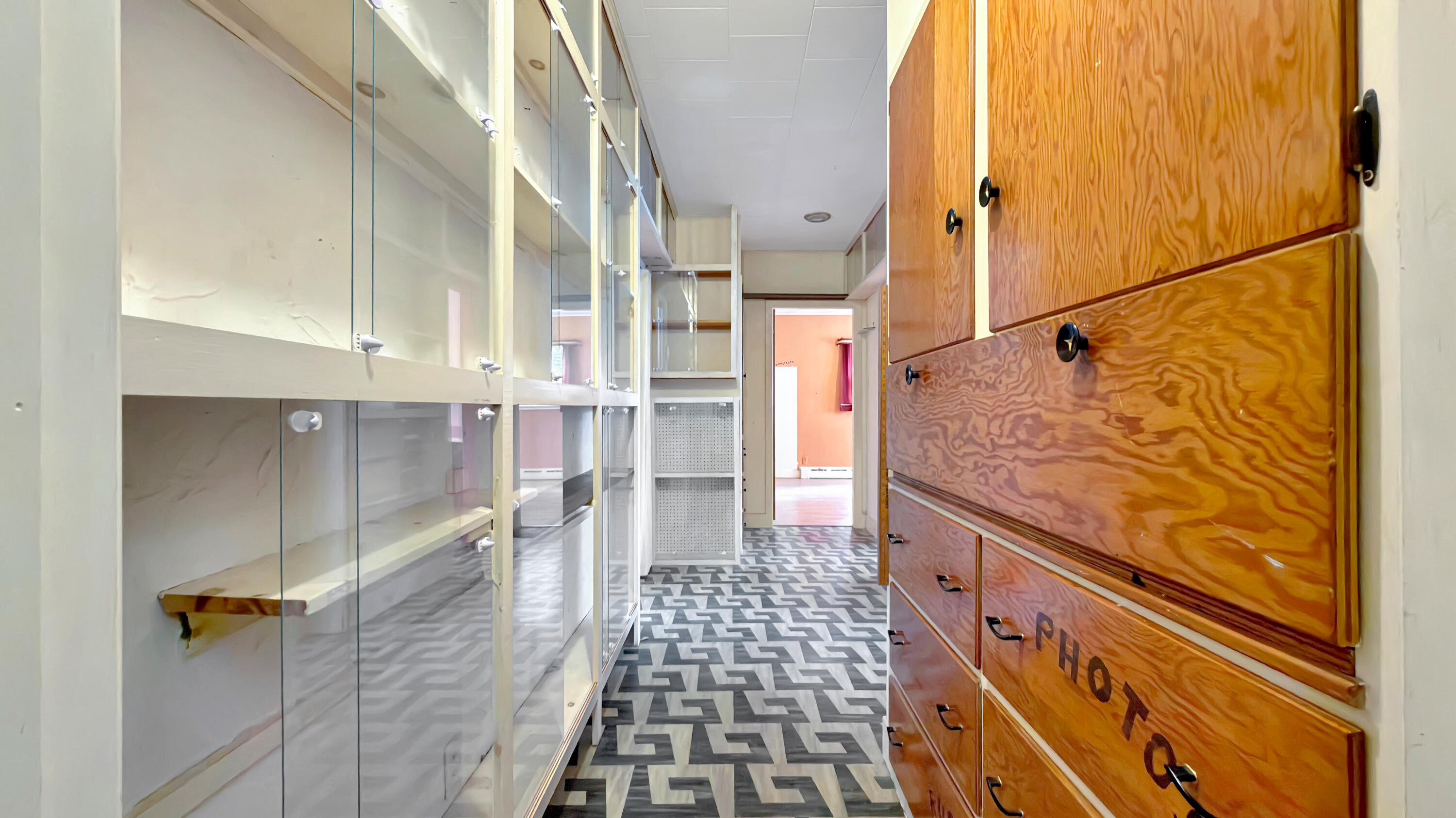19 Macarthur Avenue Property Photo 56