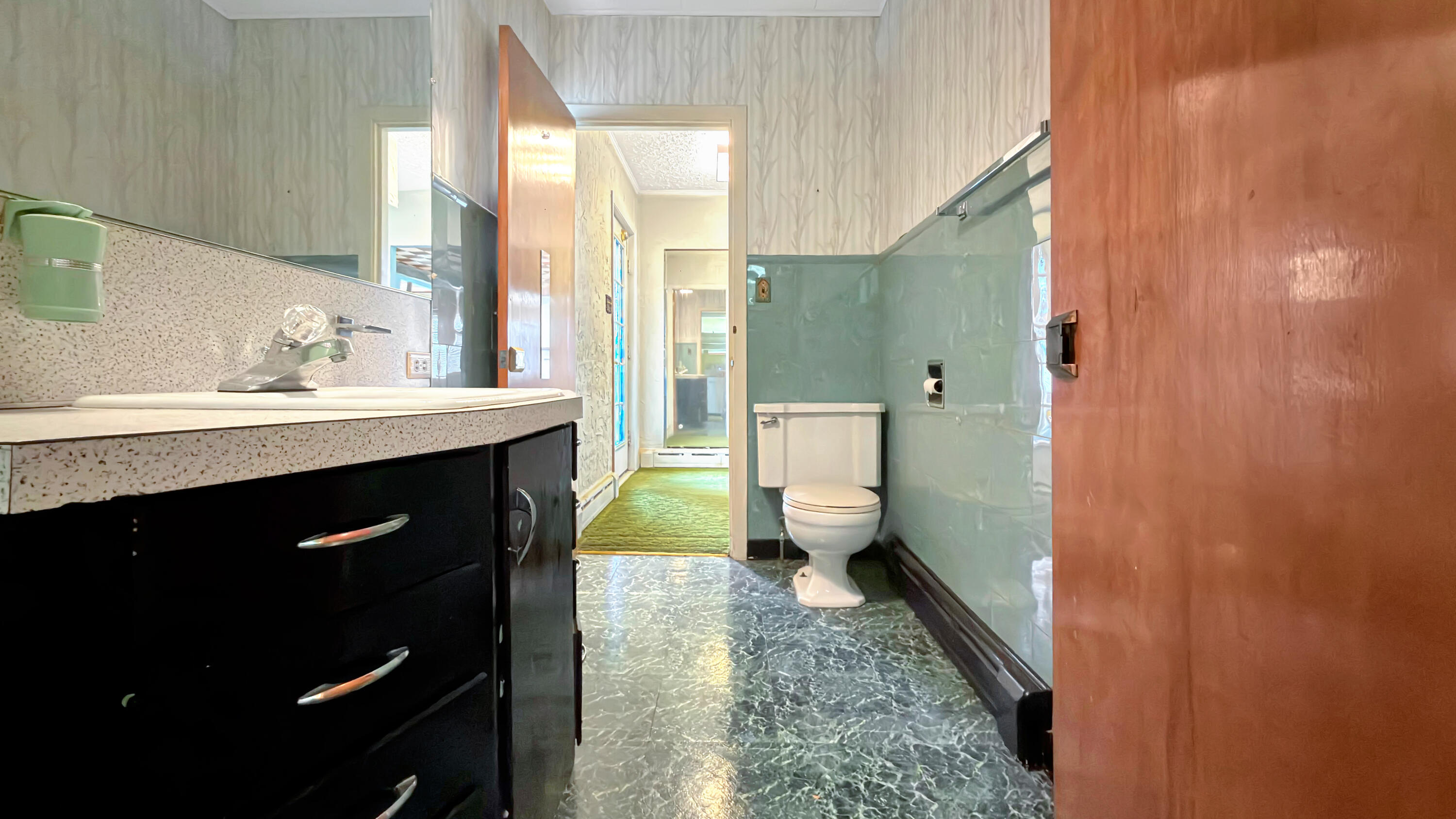 19 Macarthur Avenue Property Photo 62