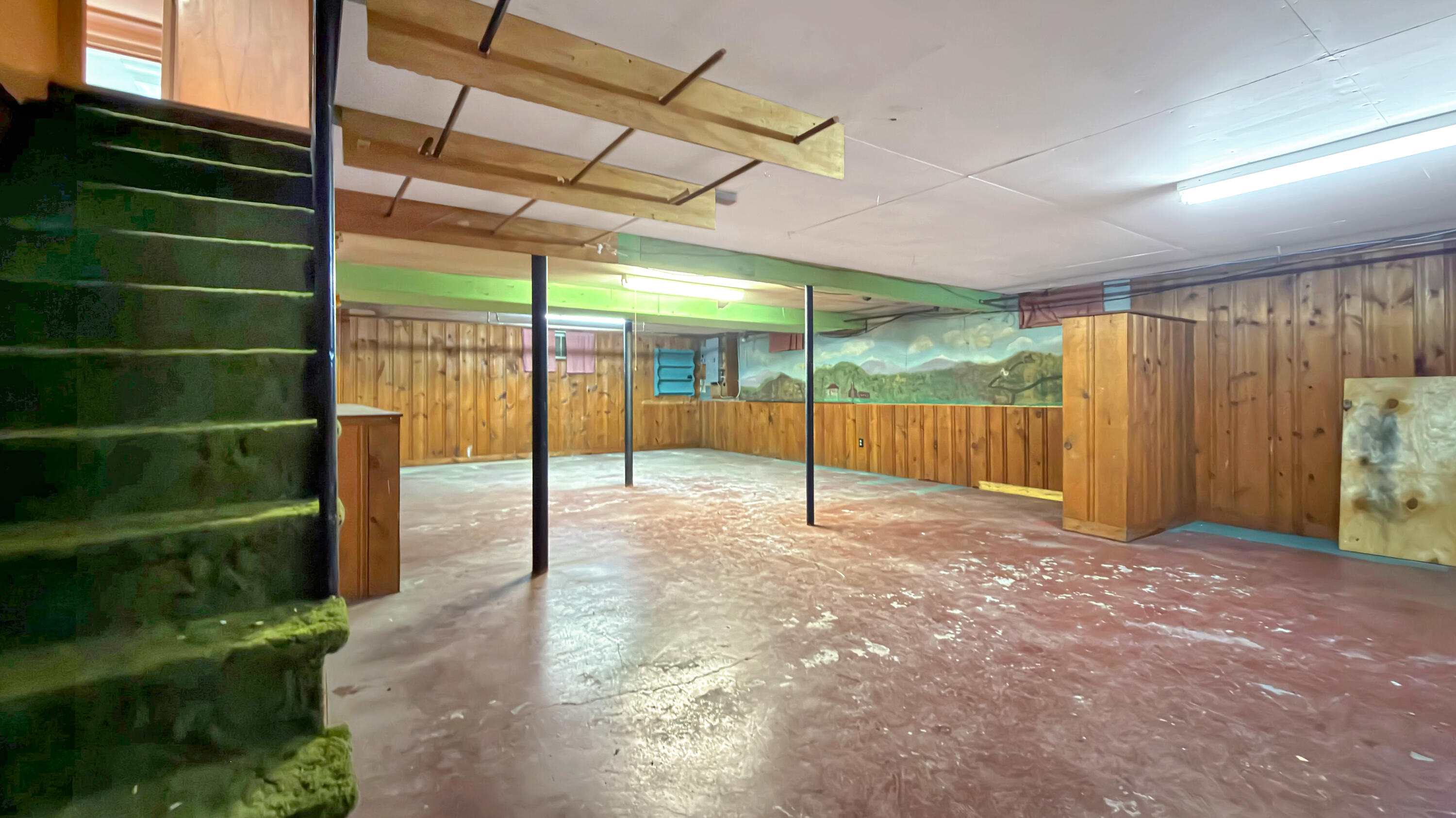 19 Macarthur Avenue Property Photo 63