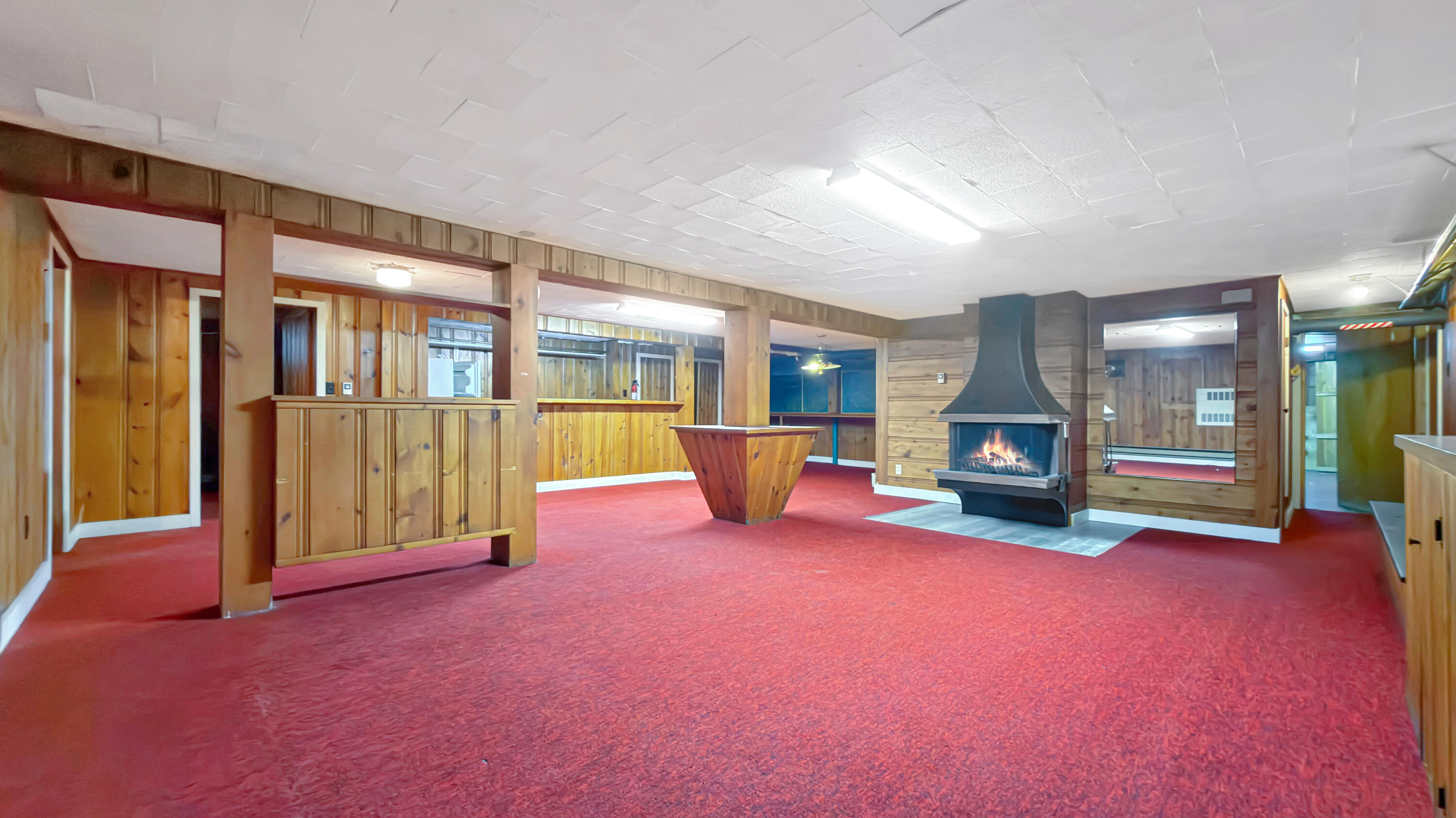 19 Macarthur Avenue Property Photo 66
