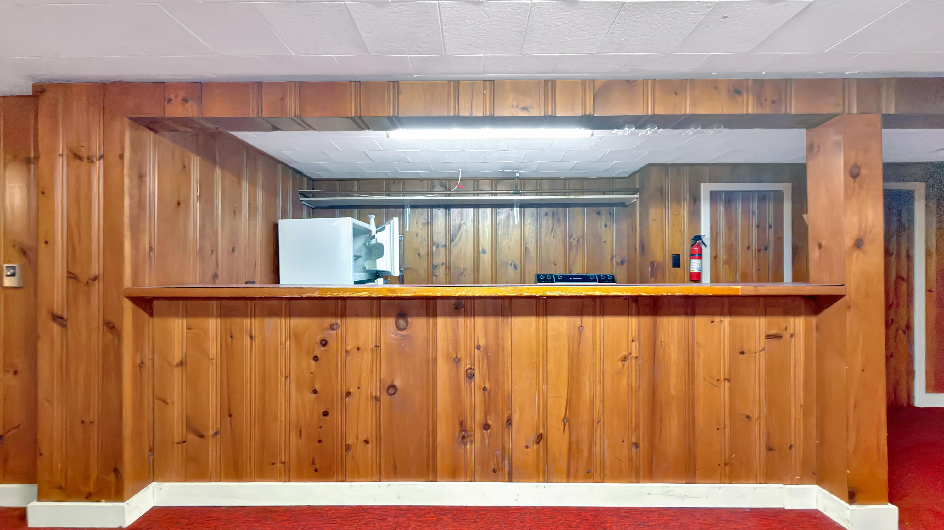 19 Macarthur Avenue Property Photo 70