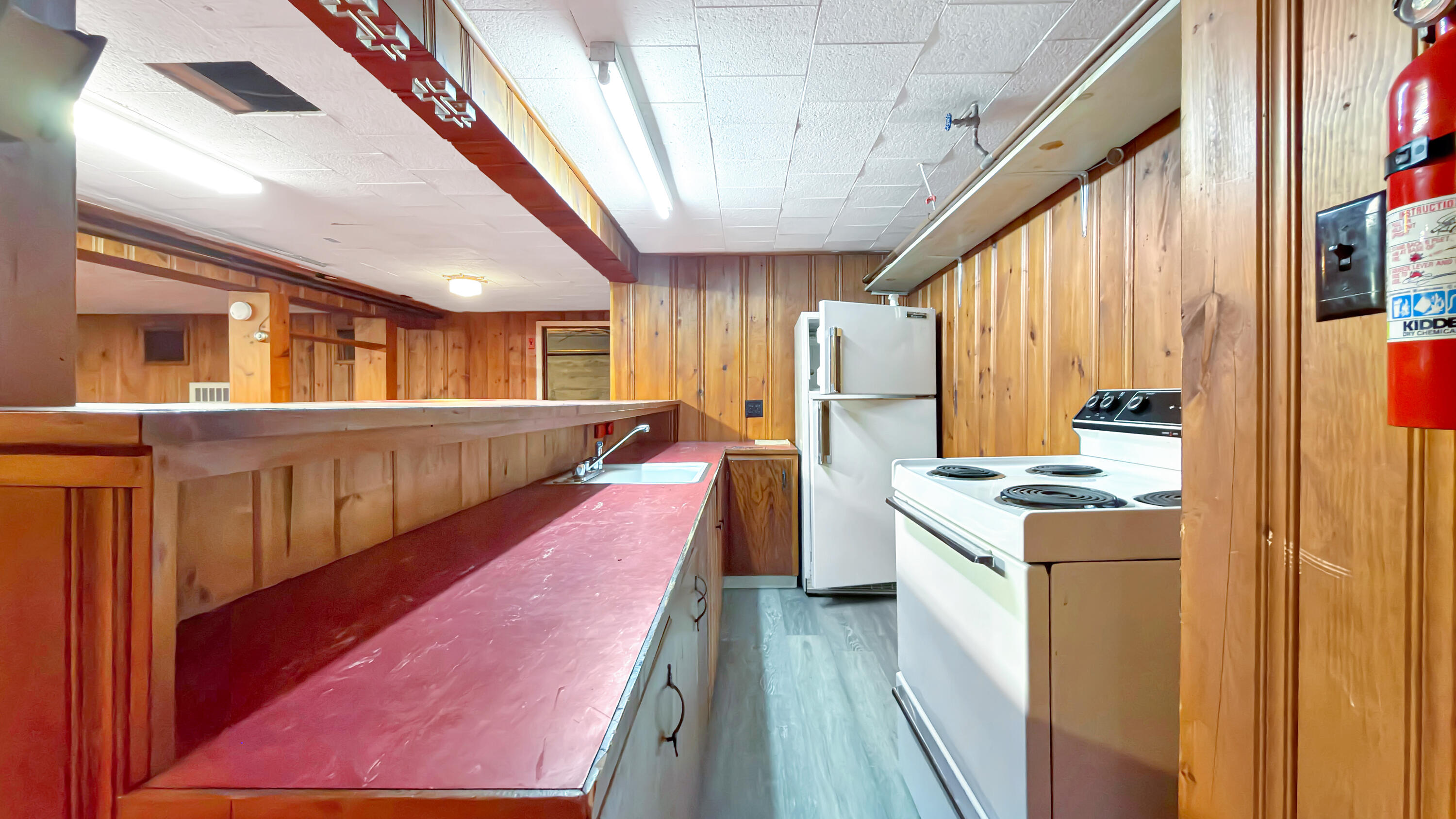 19 Macarthur Avenue Property Photo 71