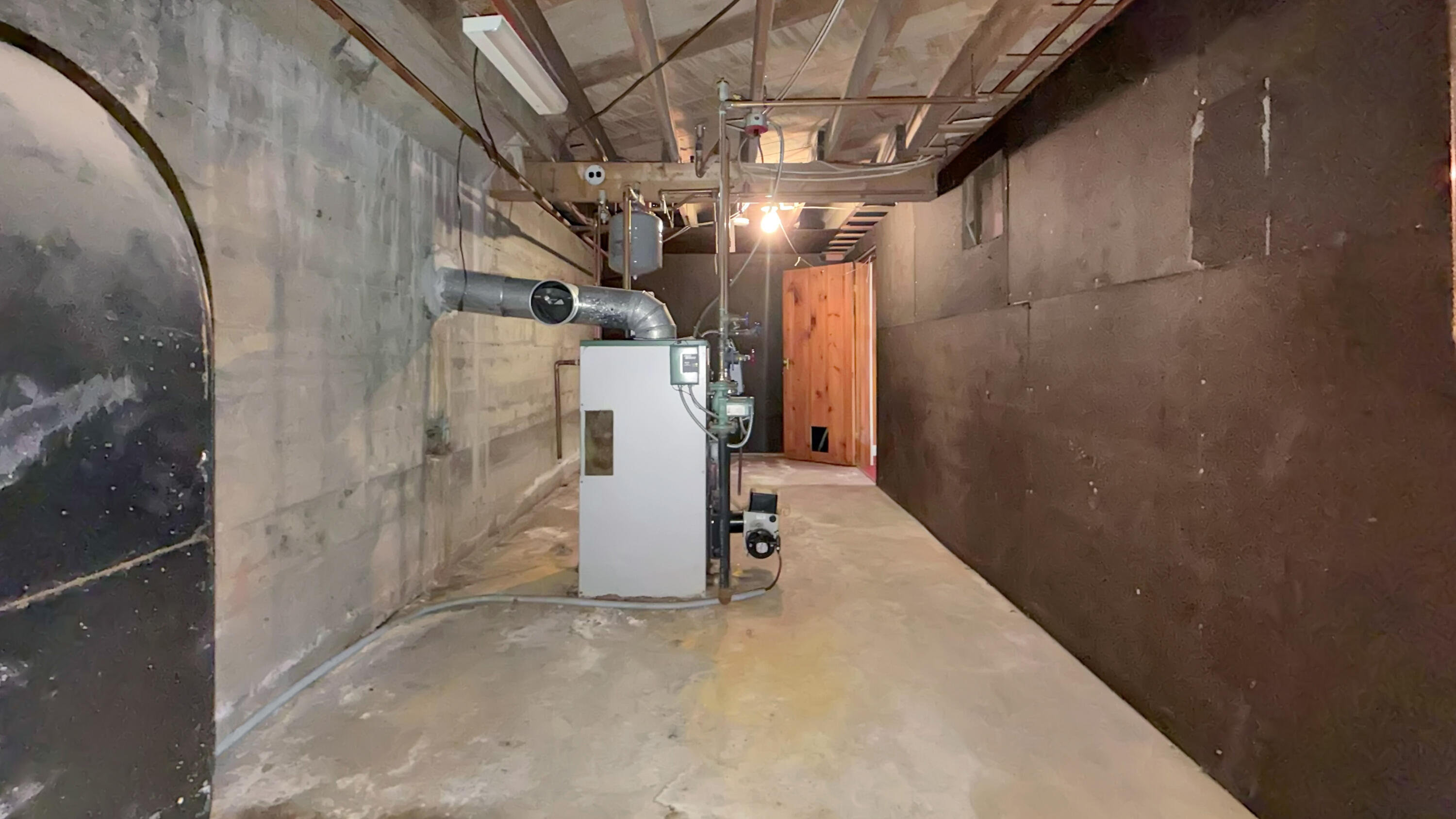 19 Macarthur Avenue Property Photo 74