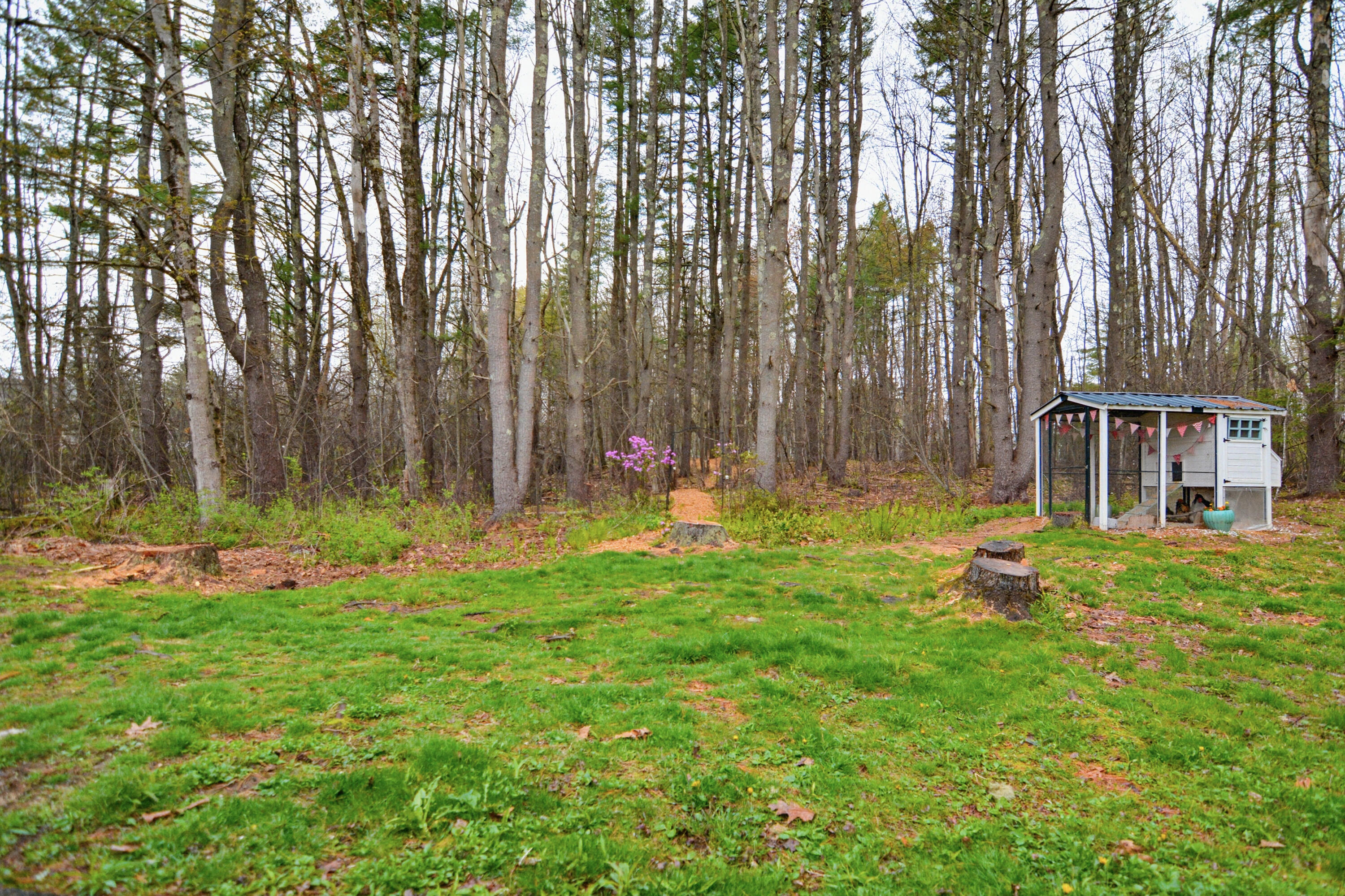 73 Autumn Lane Property Photo 33
