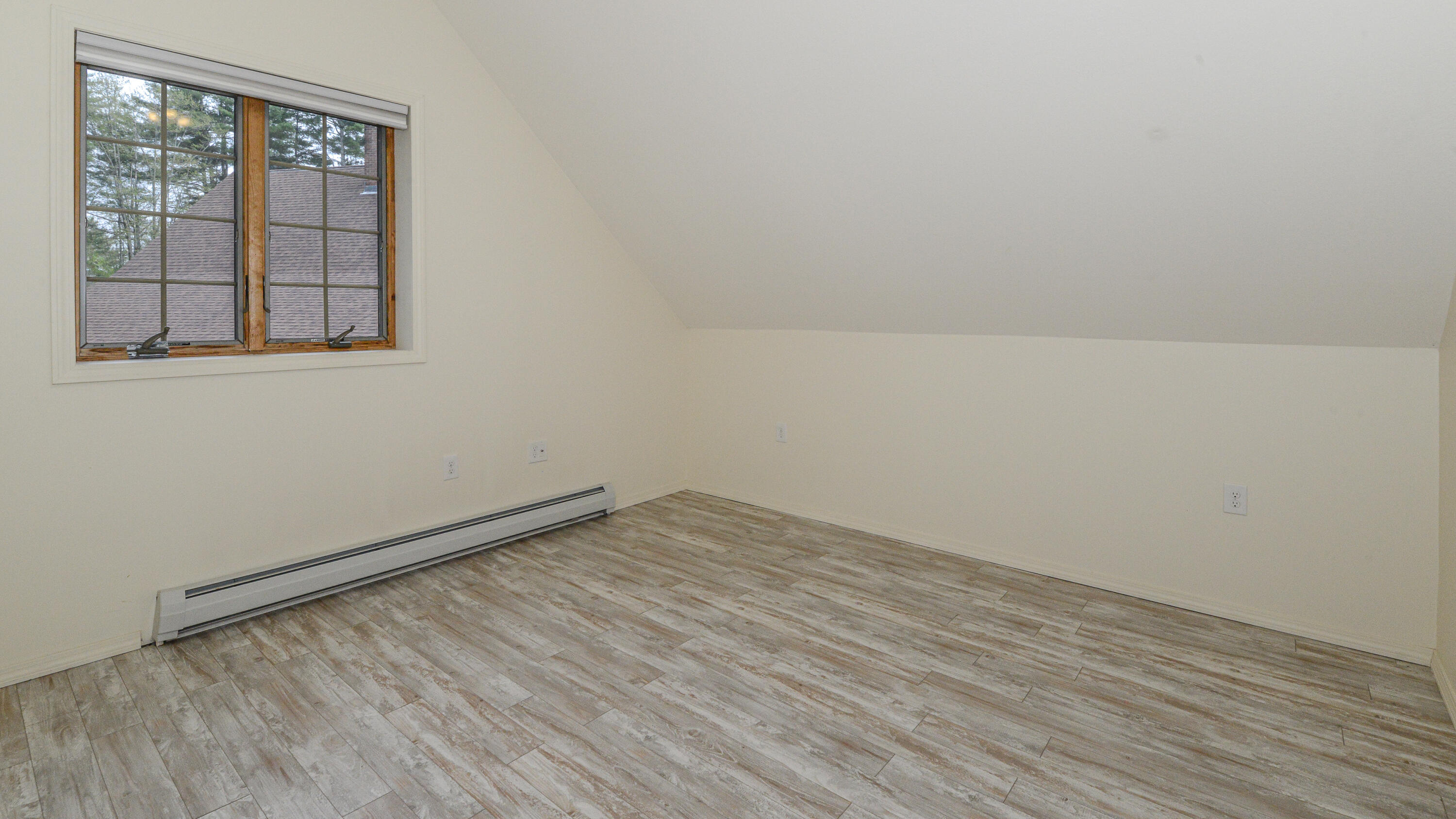 370 Center Conway Road Property Photo 38
