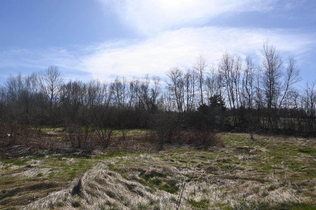 4315 Airline Road Property Photo 6