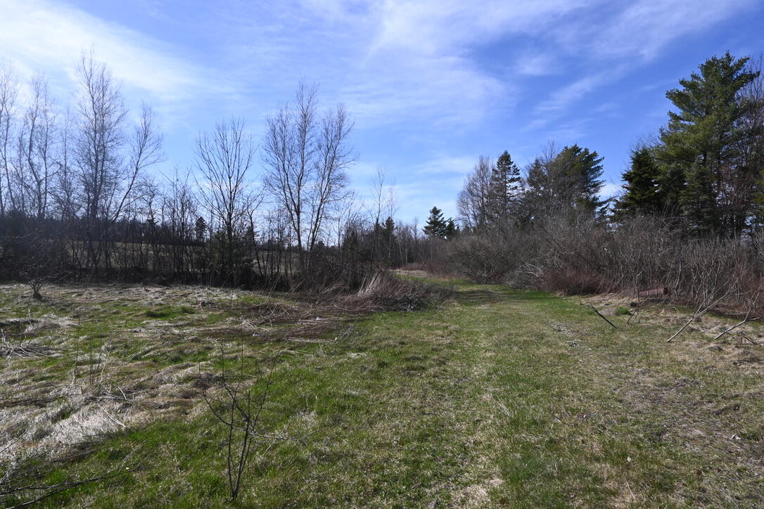 4315 Airline Road Property Photo 7