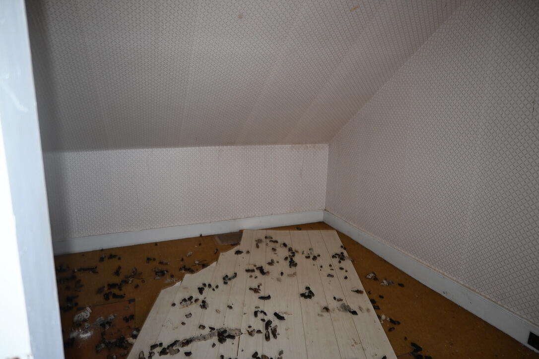 4315 Airline Road Property Photo 44