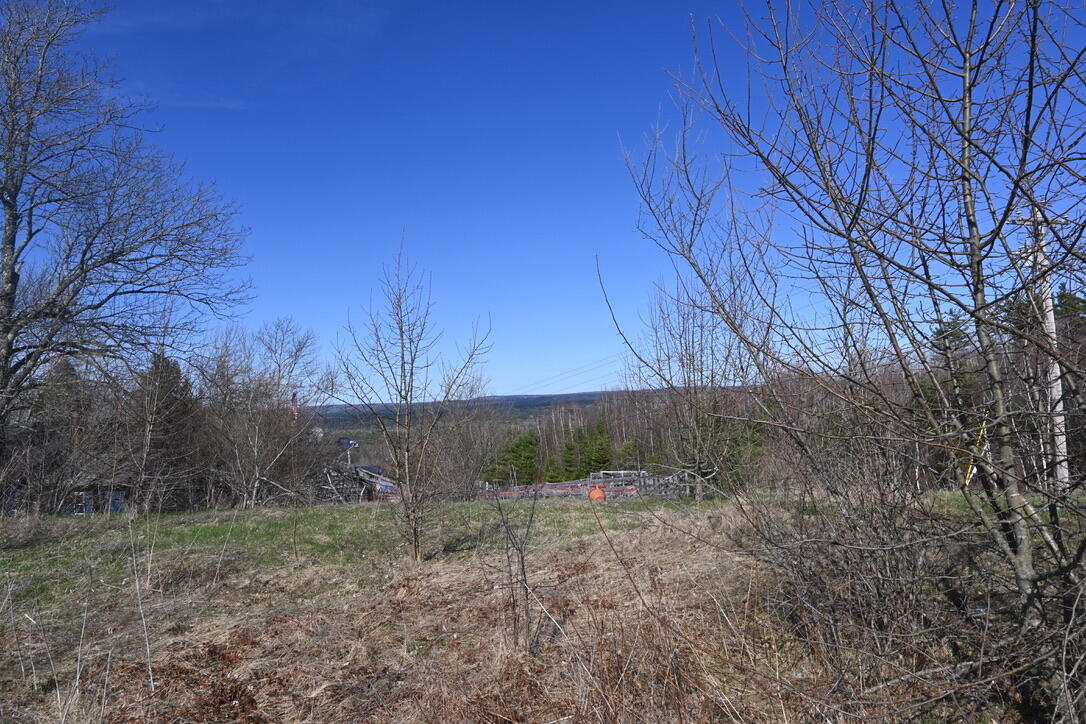 4315 Airline Road Property Photo 58