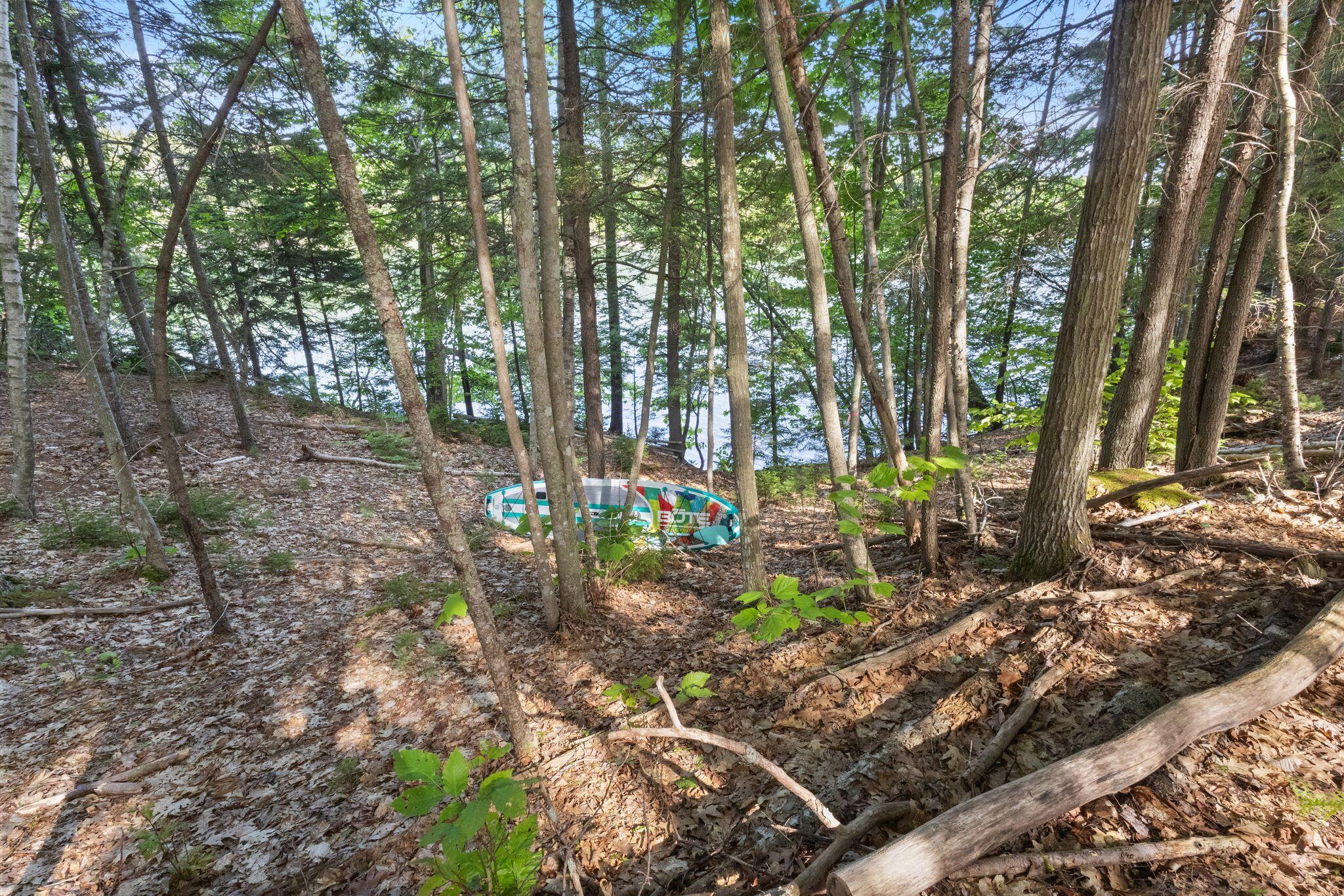 232 Mountain Road Property Photo 82