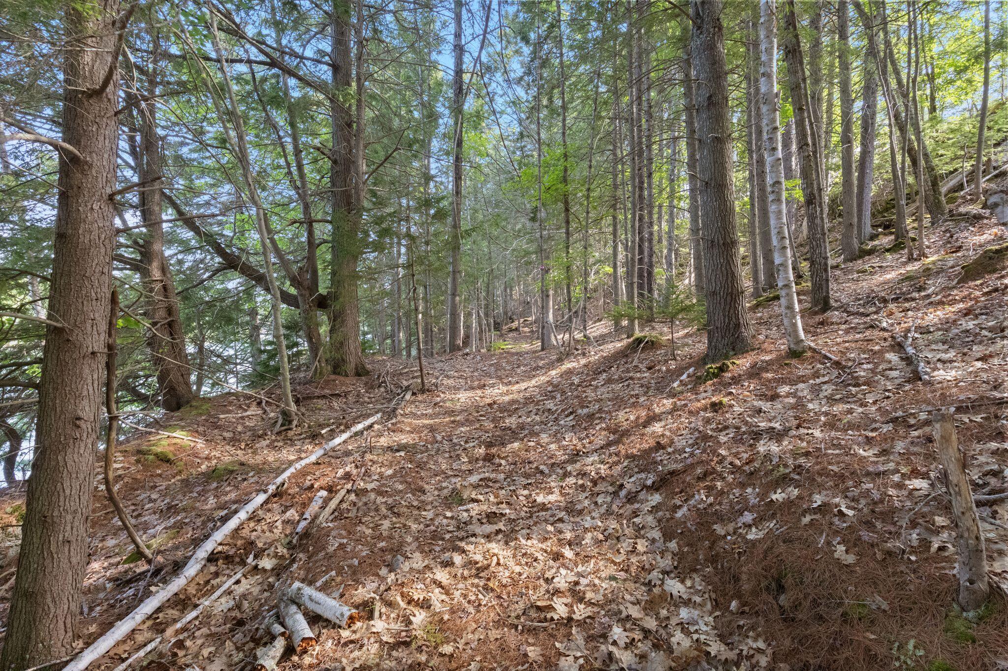 232 Mountain Road Property Photo 83