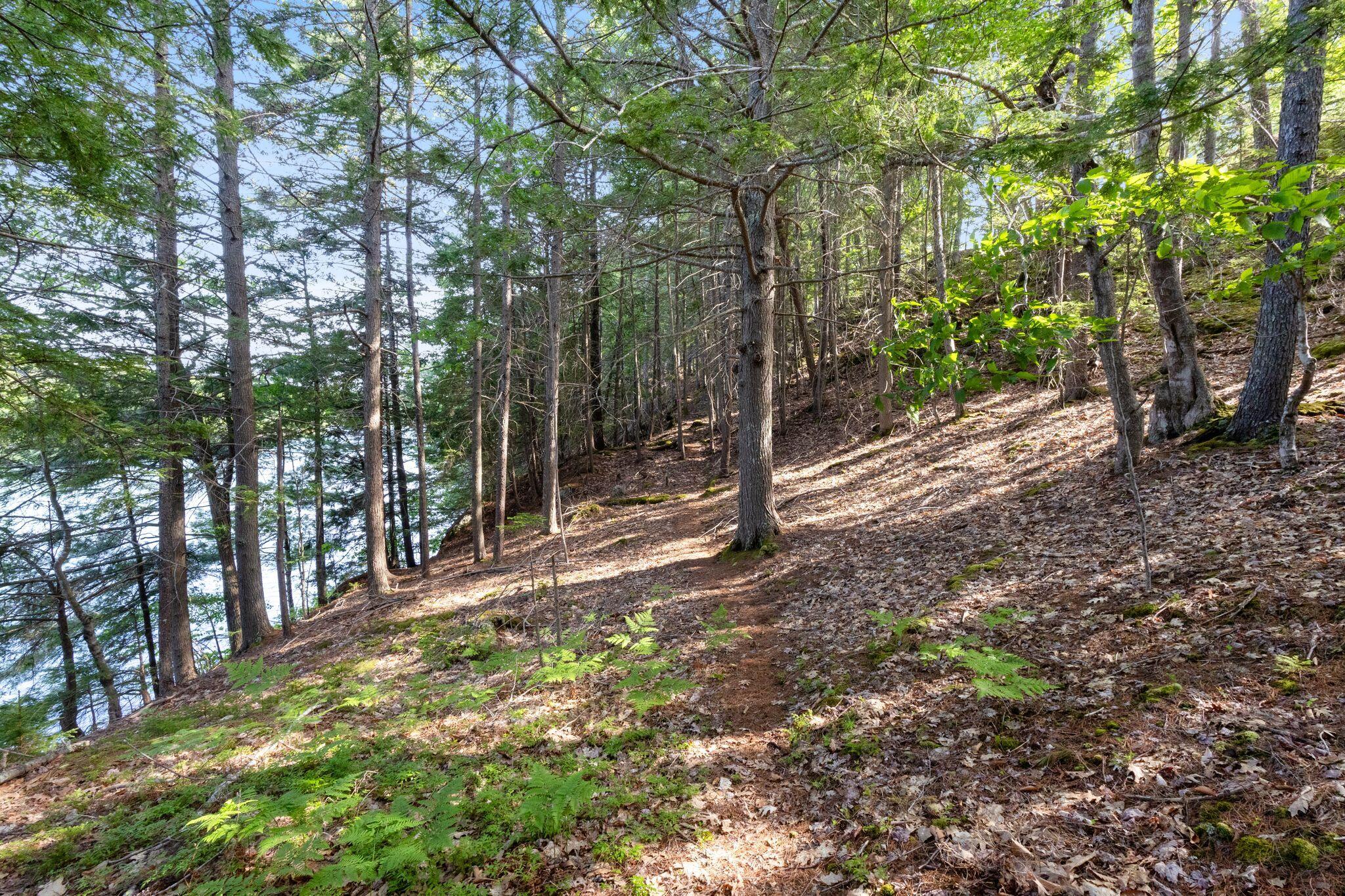 232 Mountain Road Property Photo 84