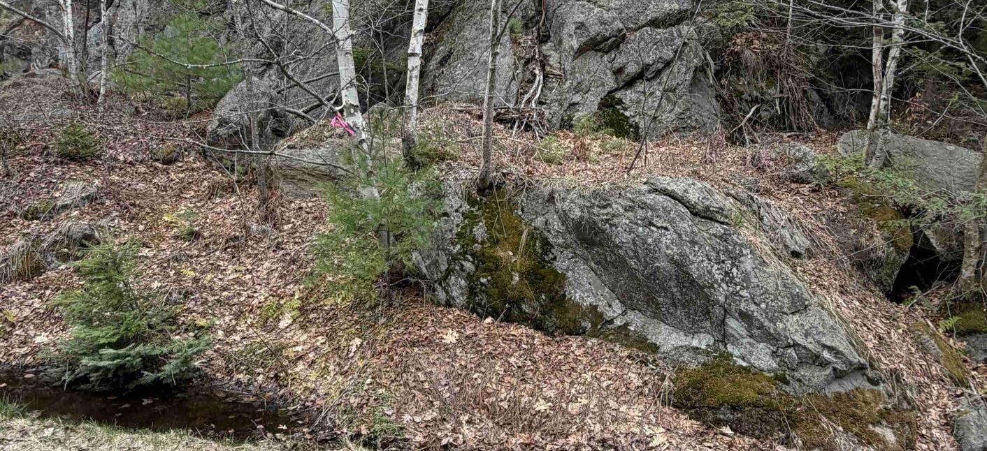 232 Mountain Road Property Photo 98