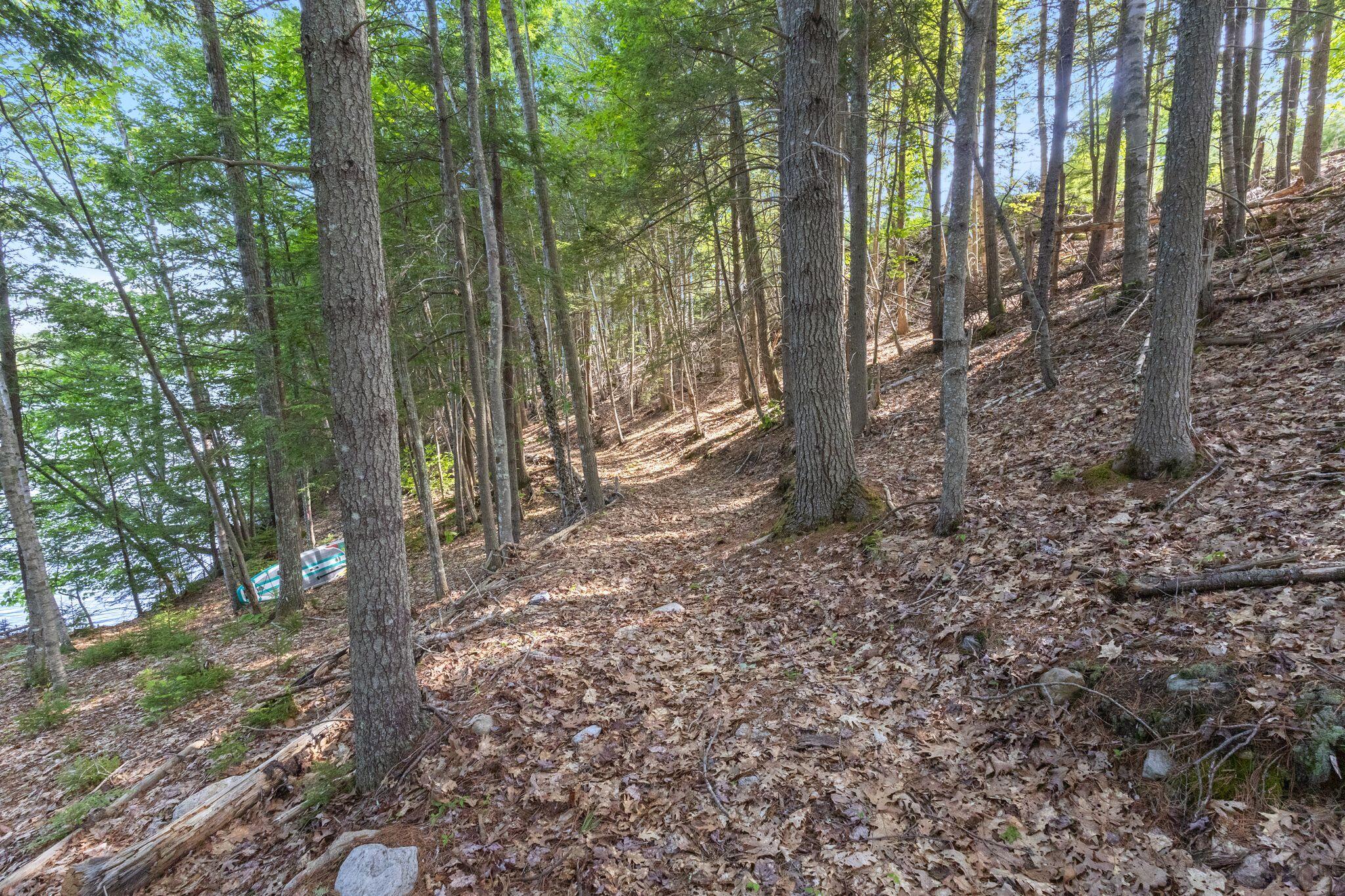 232 Mountain Road Property Photo 101