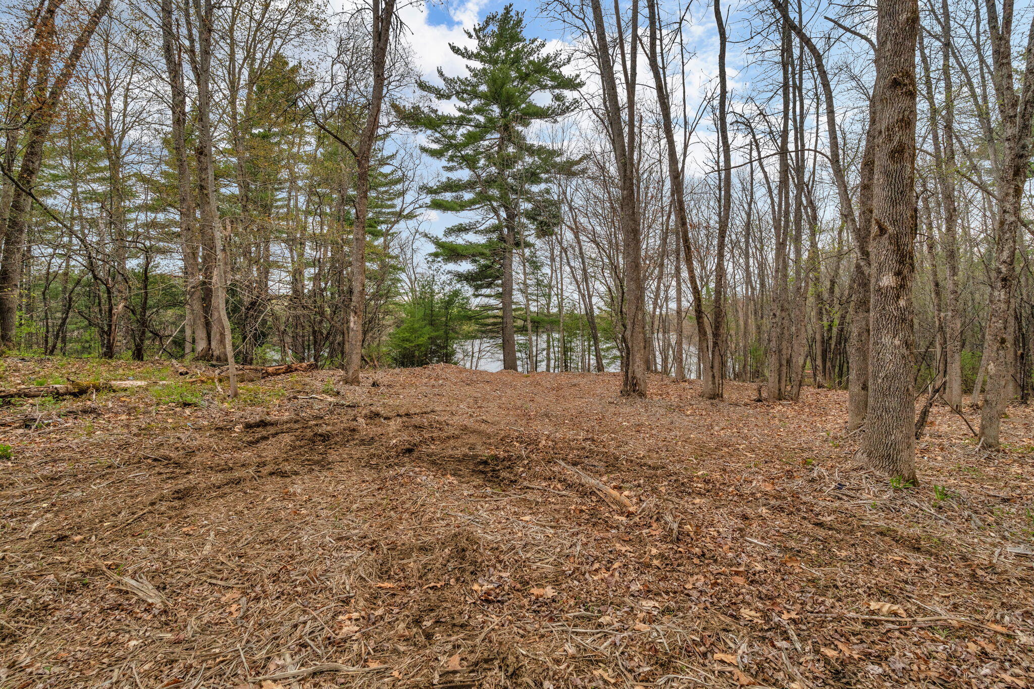 1132 College Avenue Property Photo 56