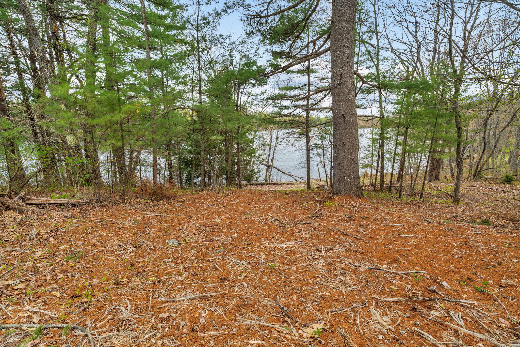 1132 College Avenue Property Photo 57