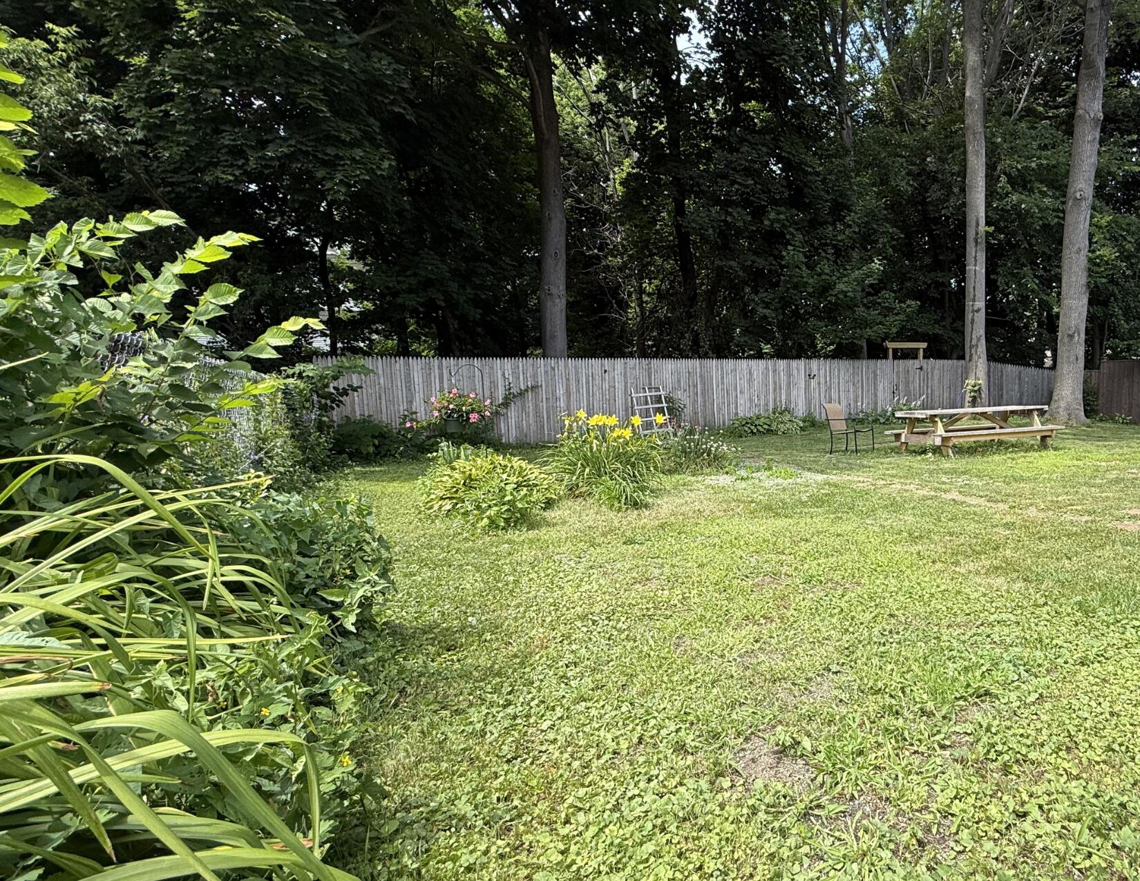 71 Willard Street Property Photo 16
