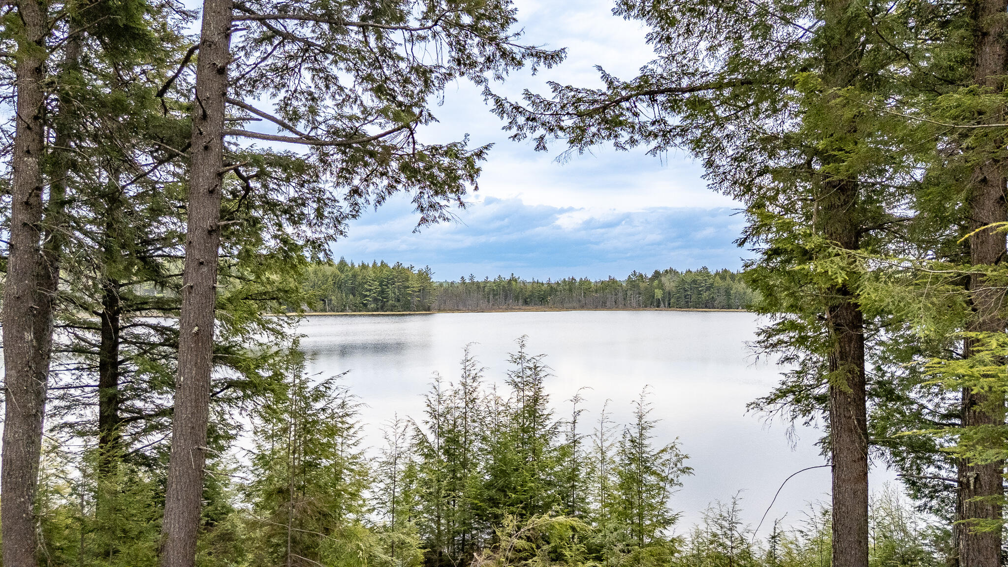 Lot A6 Jaquith Pond Road Property Photo 51