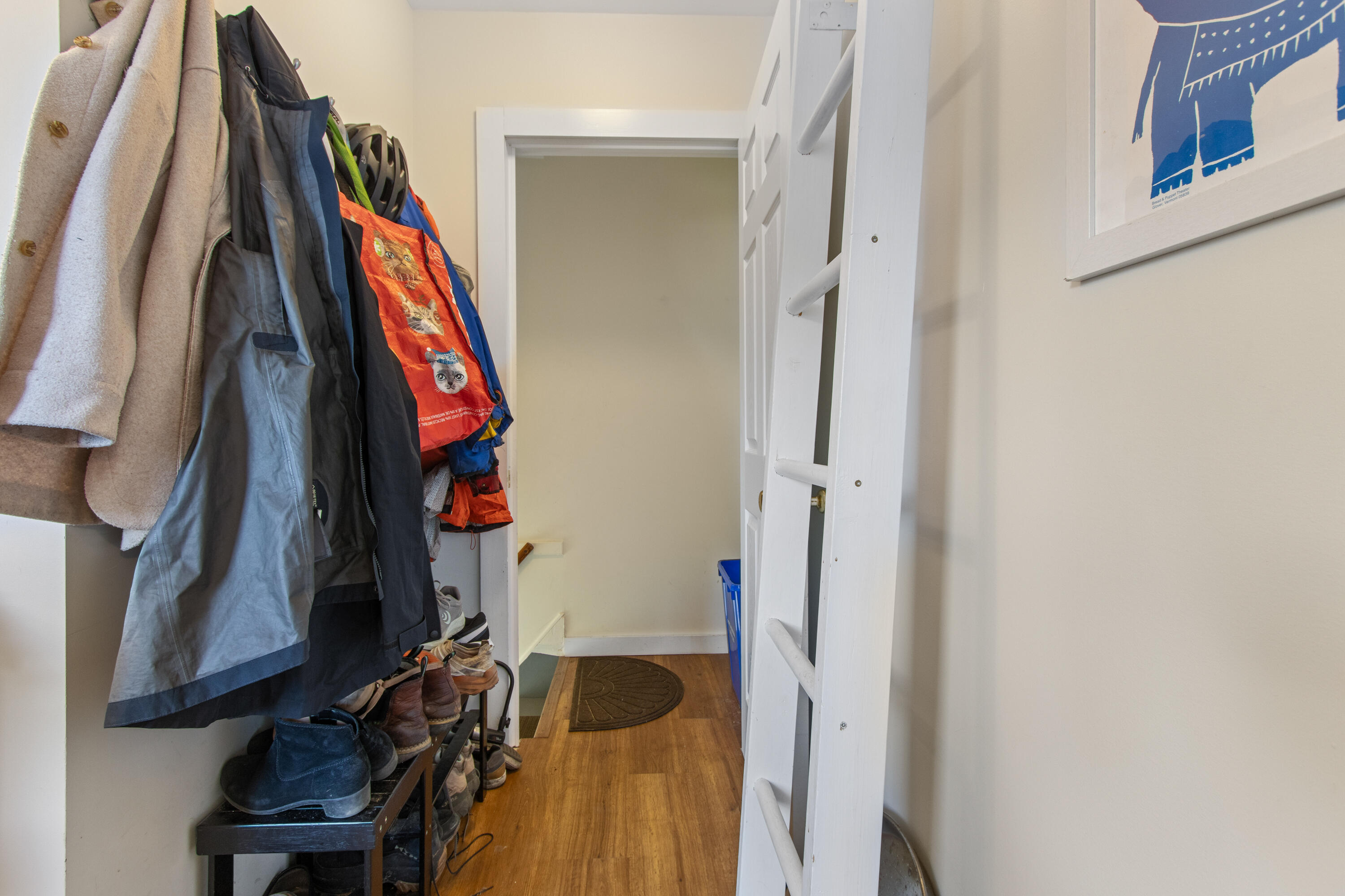 155 Hartley Street Property Photo 64