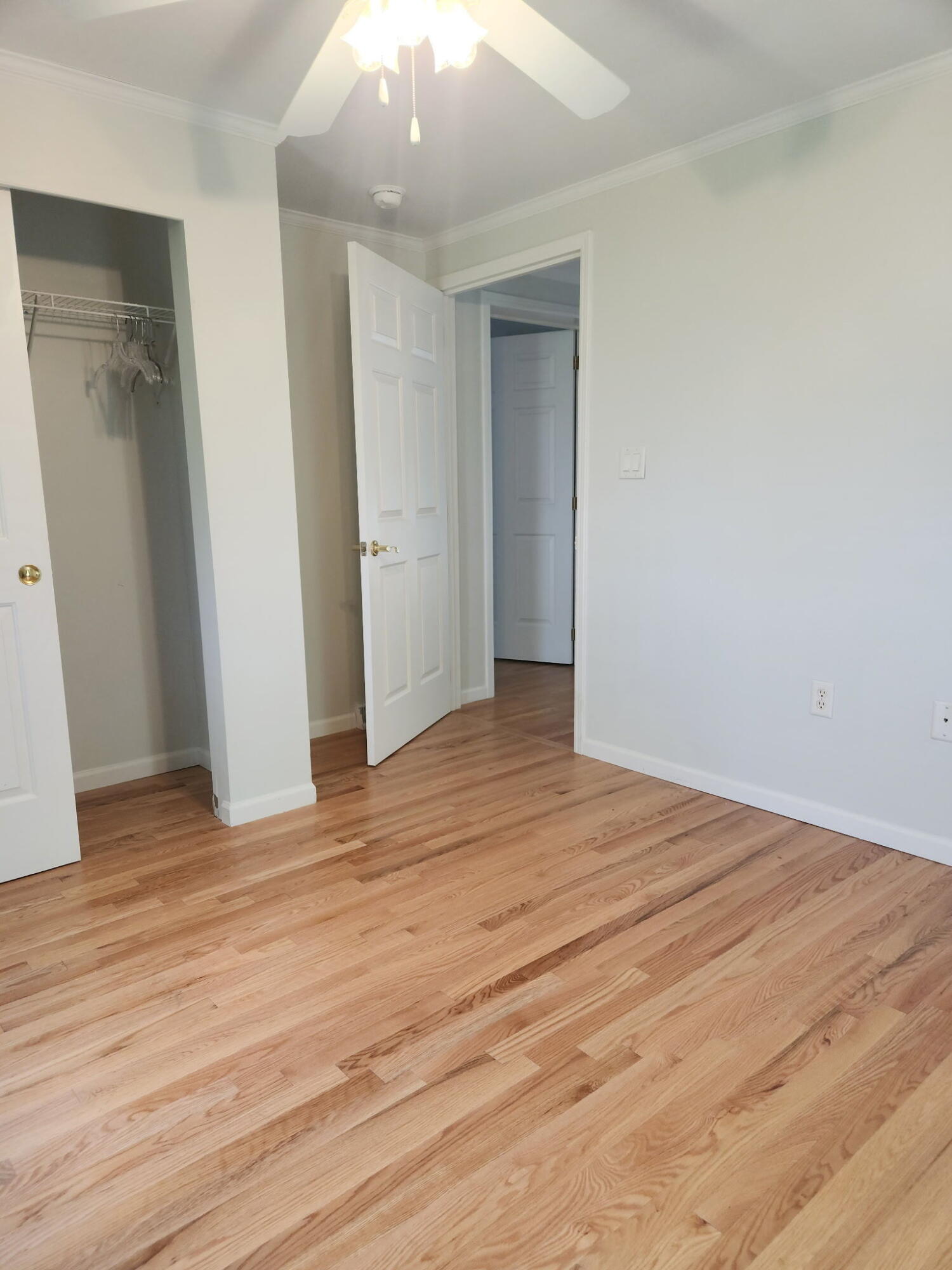 304 Vagabond Street Property Photo 17