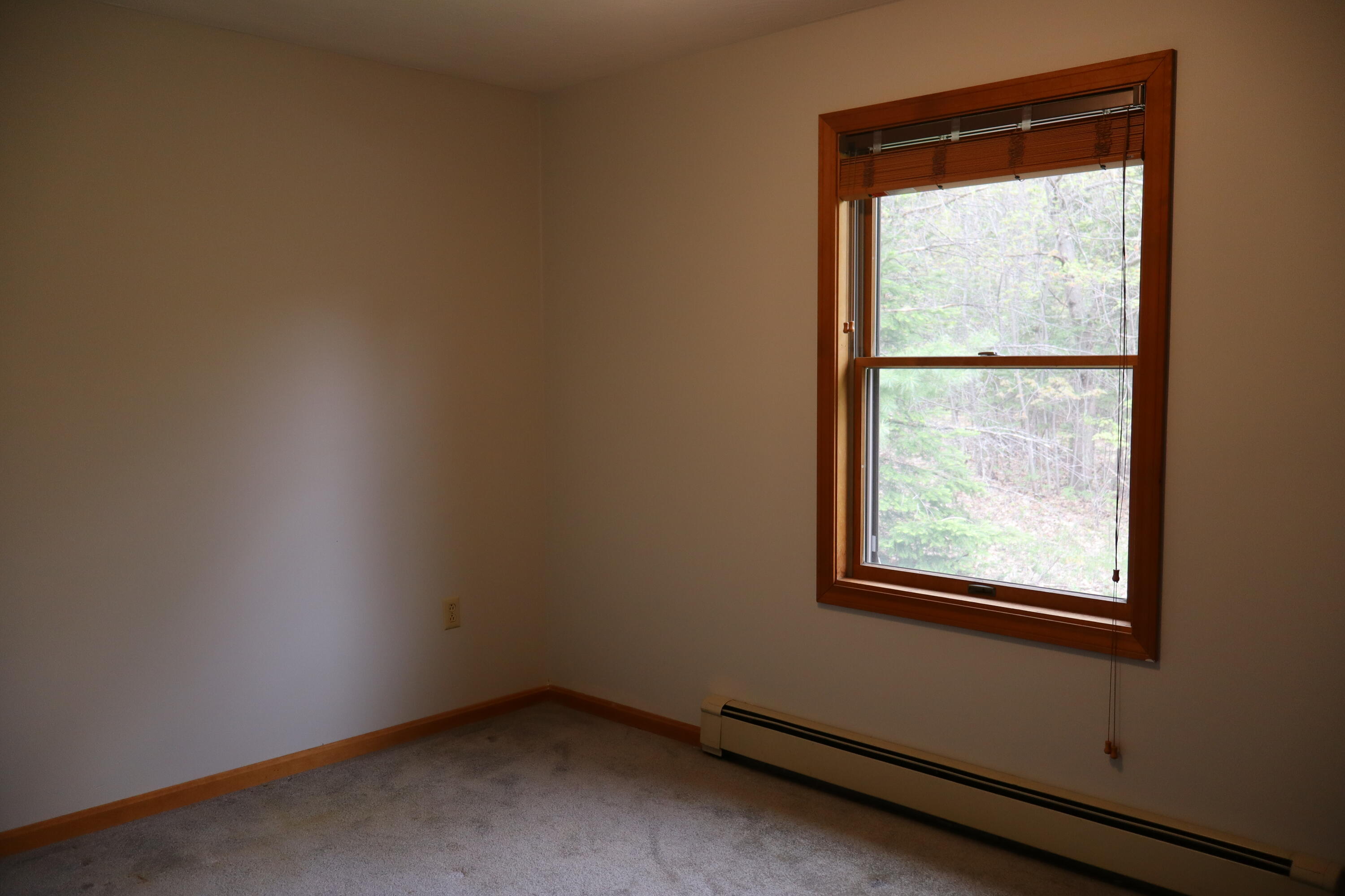 68 Boothby Road Property Photo 38