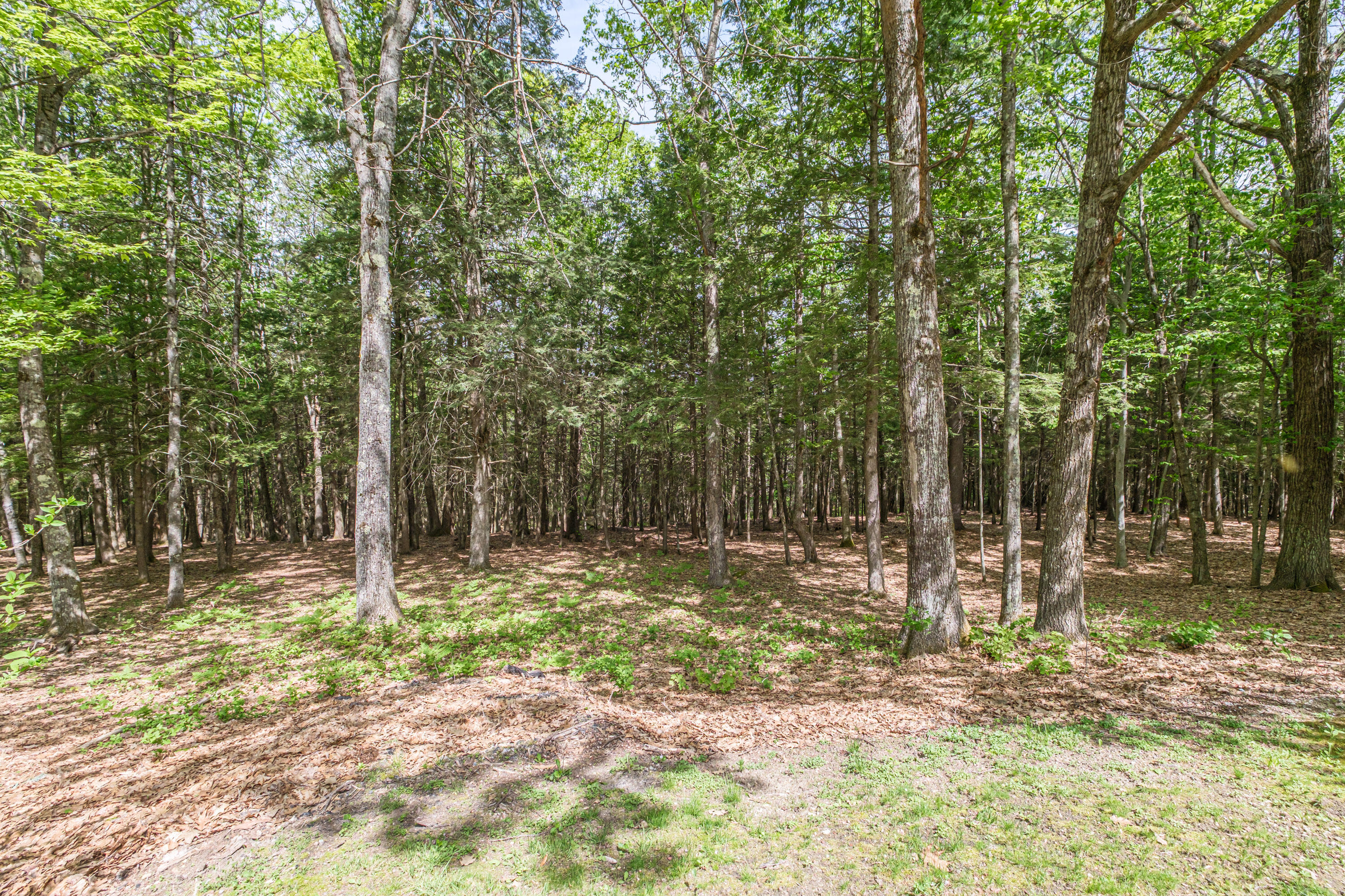 64 Summit Road Property Photo 68