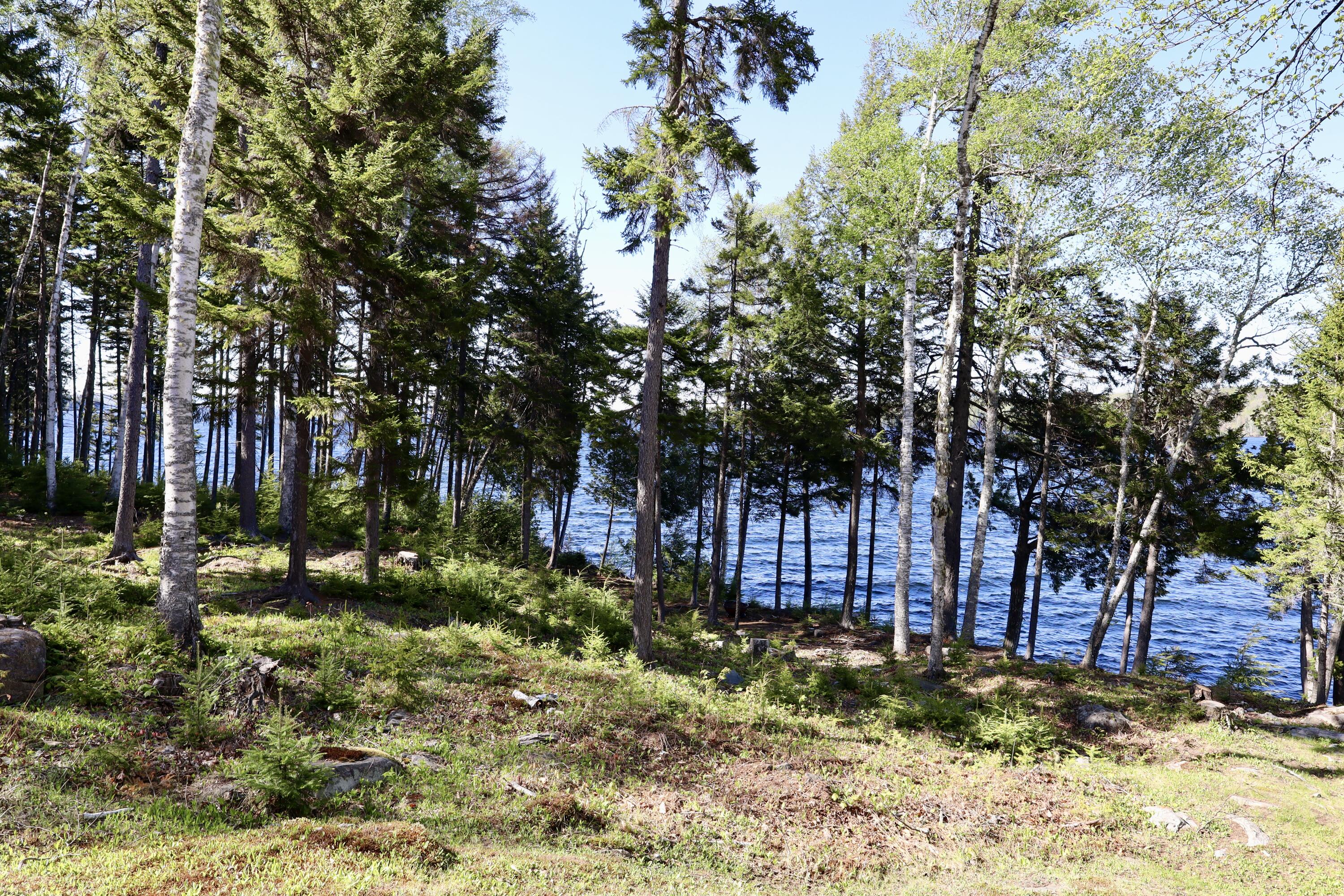 589 Big Moose Point Road Property Photo 31