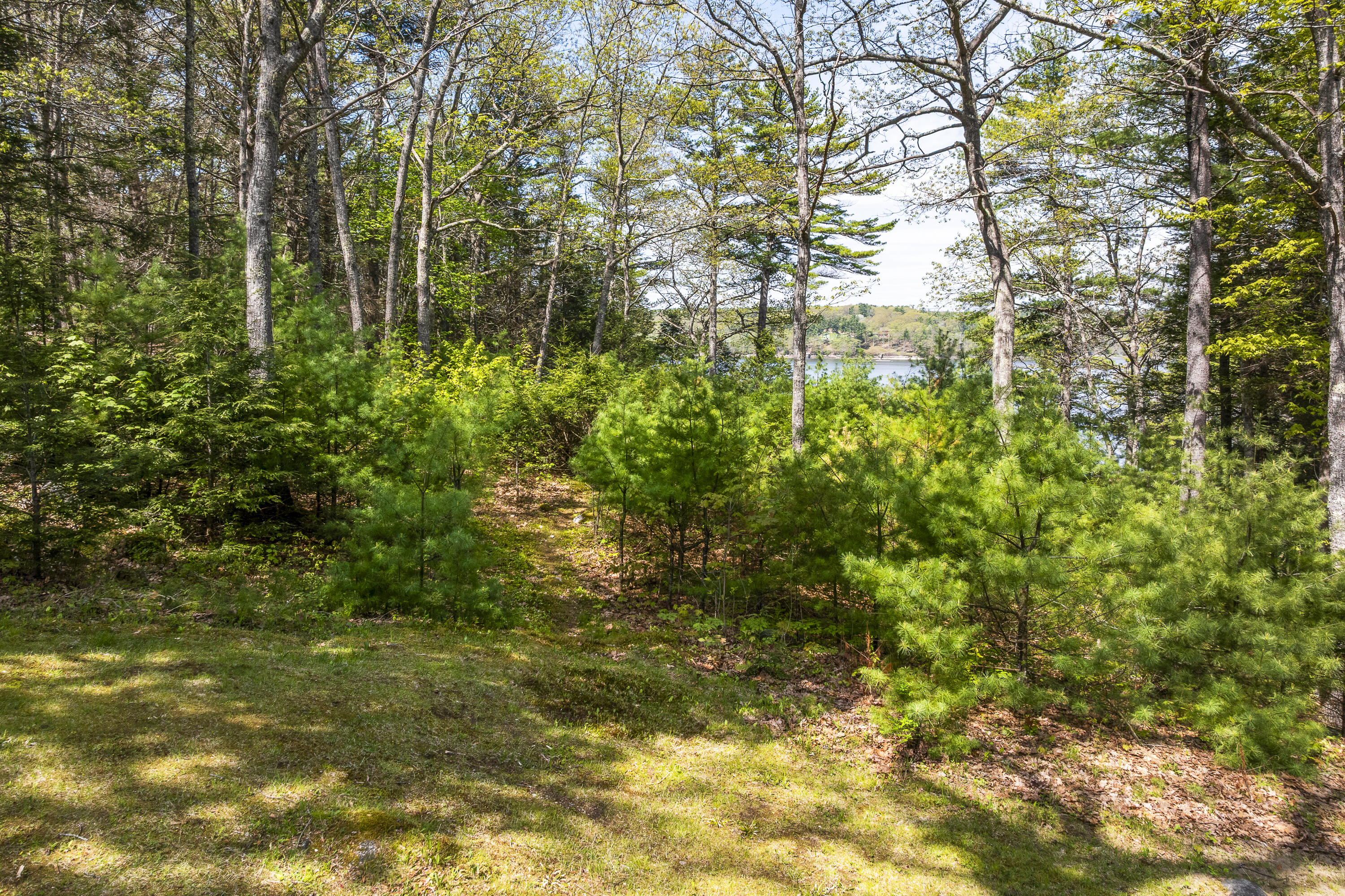 31 Woodward Farm Road Property Photo 44