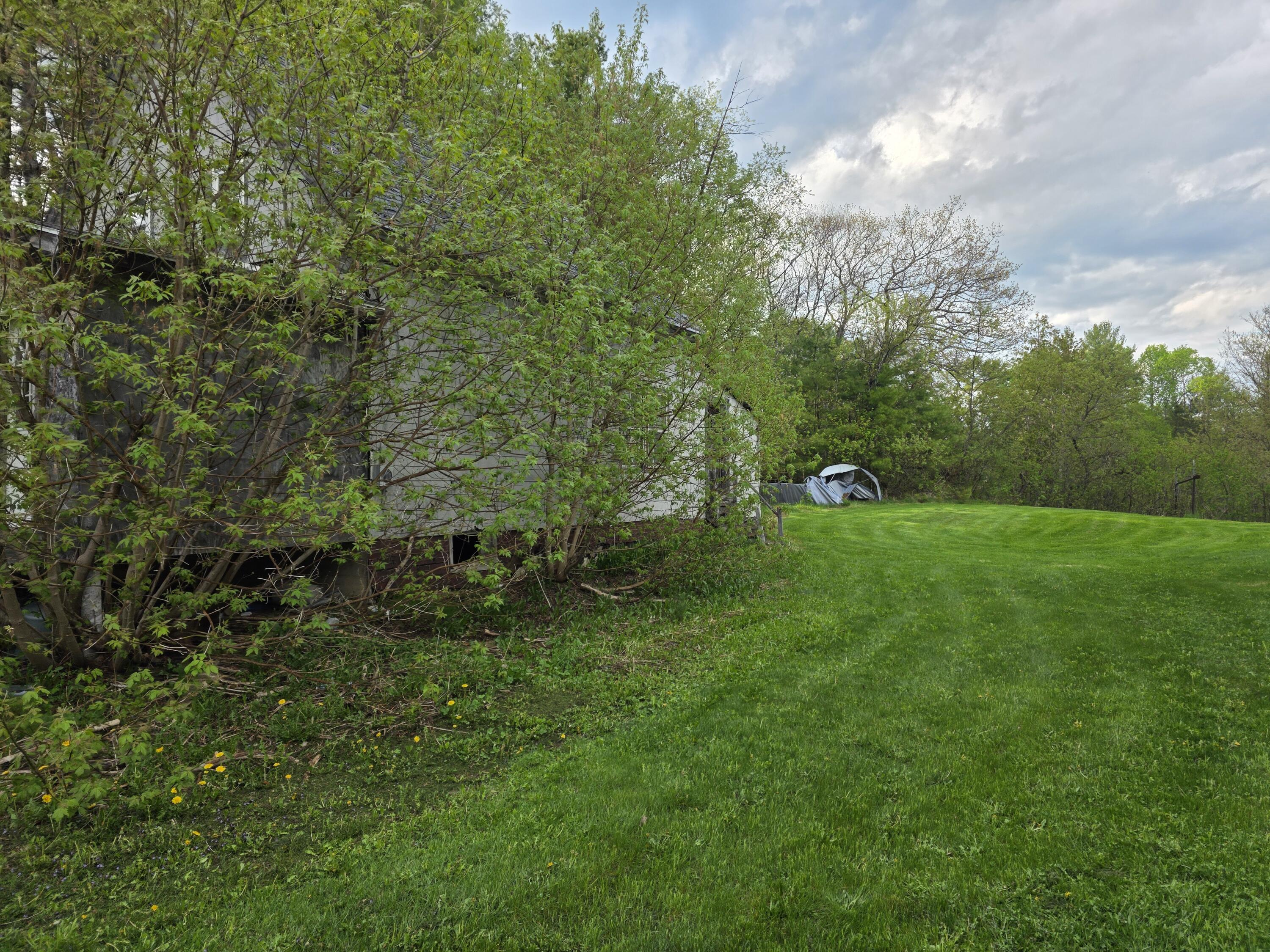 46 Harding Street Property Photo 3