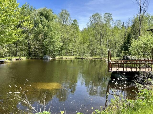 60 Mt Blue Pond Road Property Photo 1