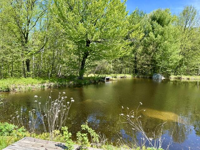 60 Mt Blue Pond Road Property Photo 2