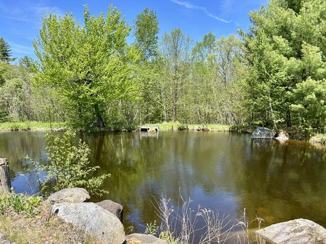 60 Mt Blue Pond Road Property Photo 3