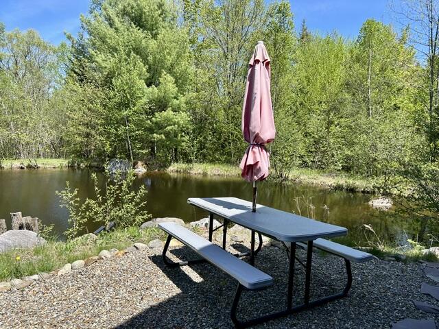 60 Mt Blue Pond Road Property Photo 4