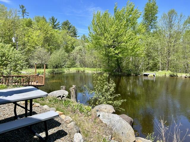 60 Mt Blue Pond Road Property Photo 5