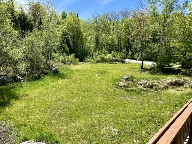 60 Mt Blue Pond Road Property Photo 21