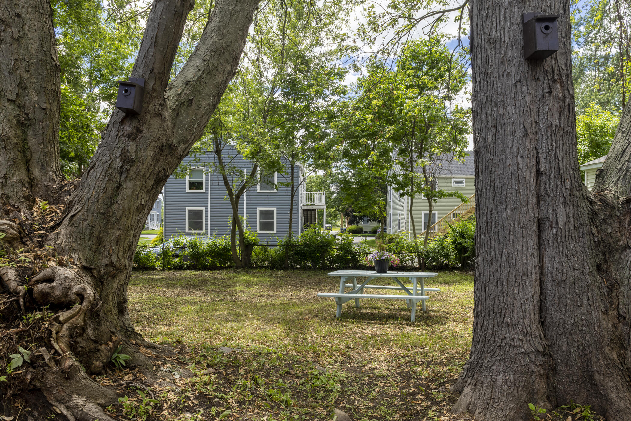115 Mussey Street Property Photo 6