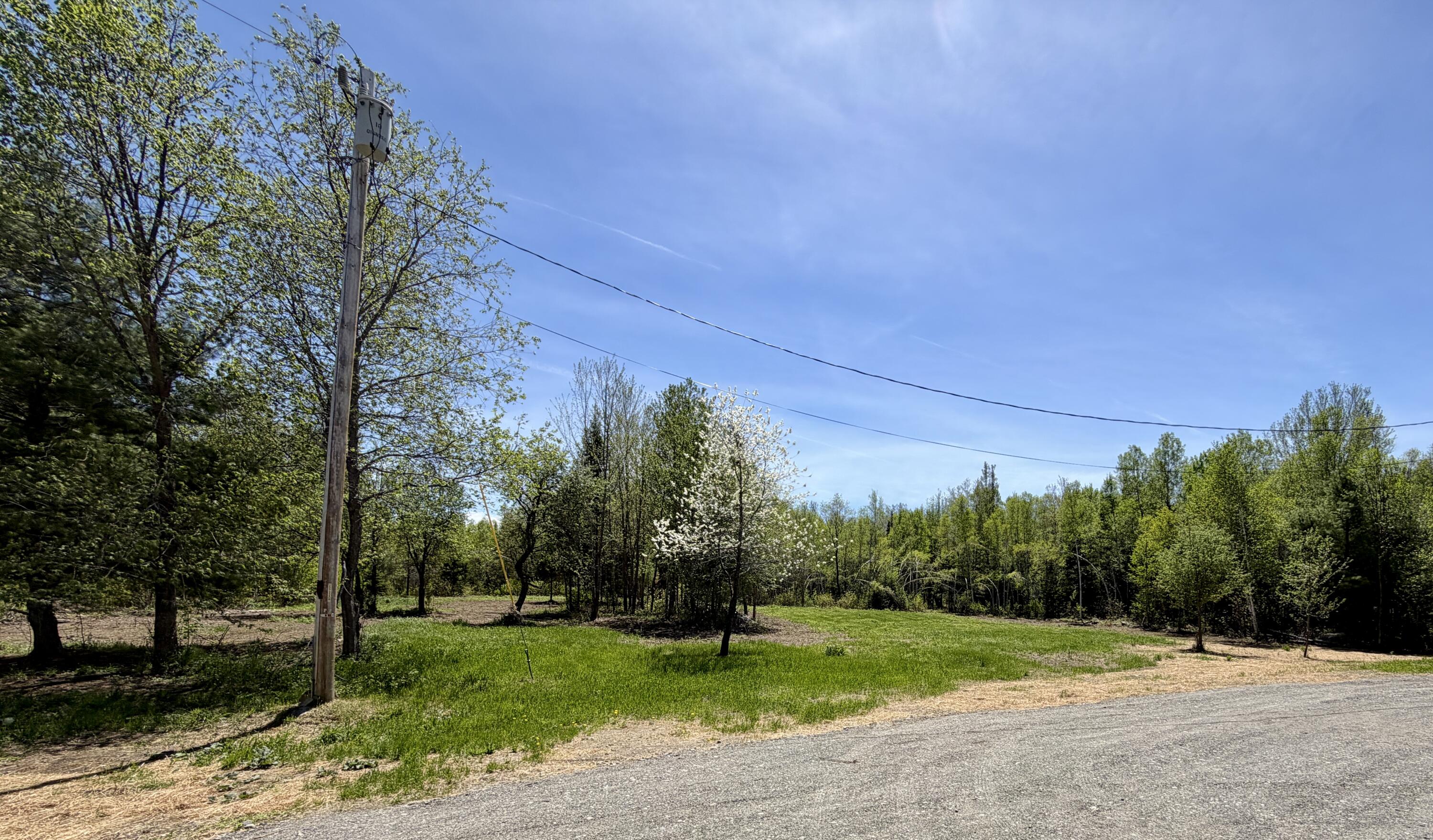 51 Big Boyd Lake Road Property Photo 52