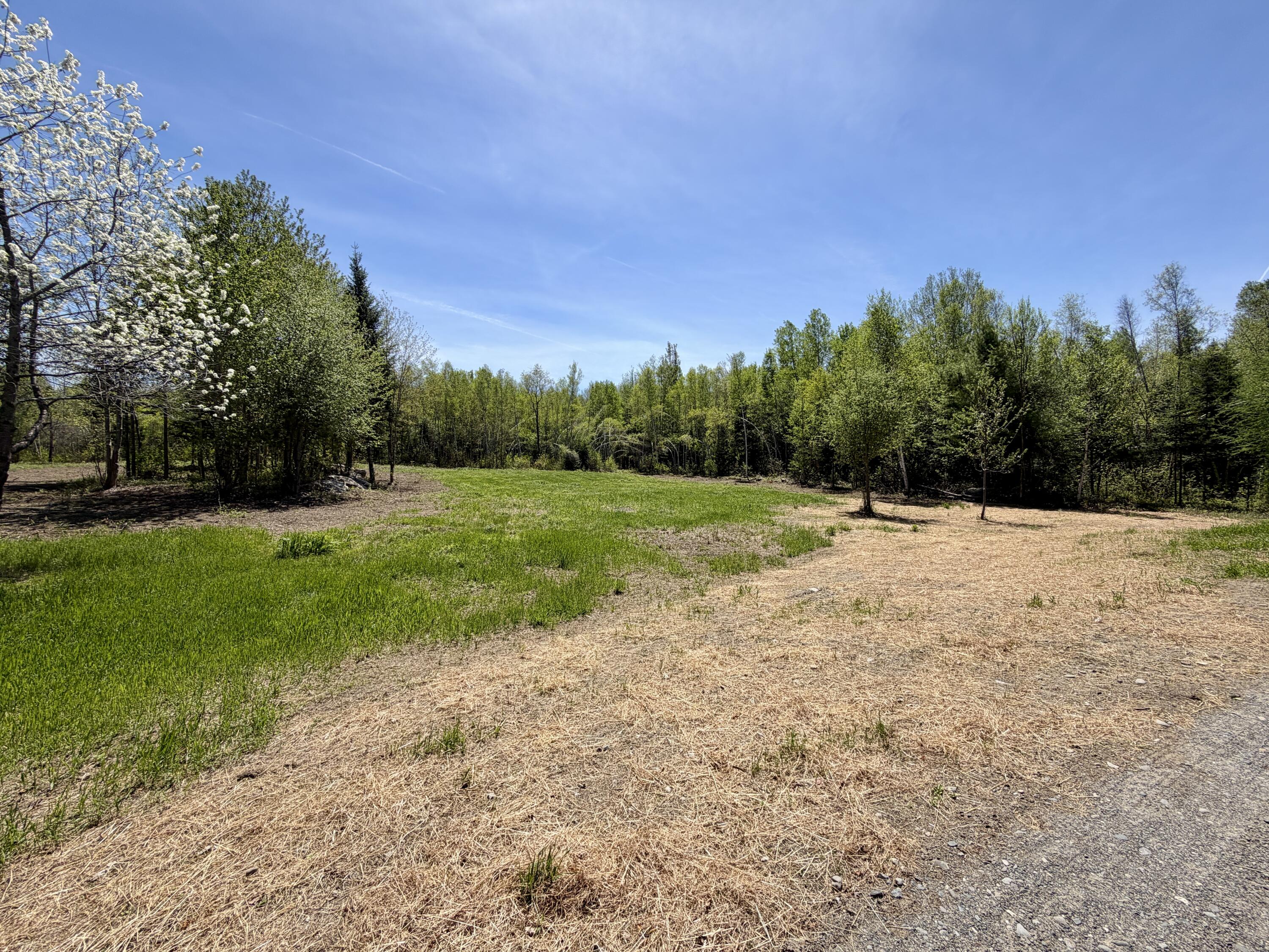 51 Big Boyd Lake Road Property Photo 53