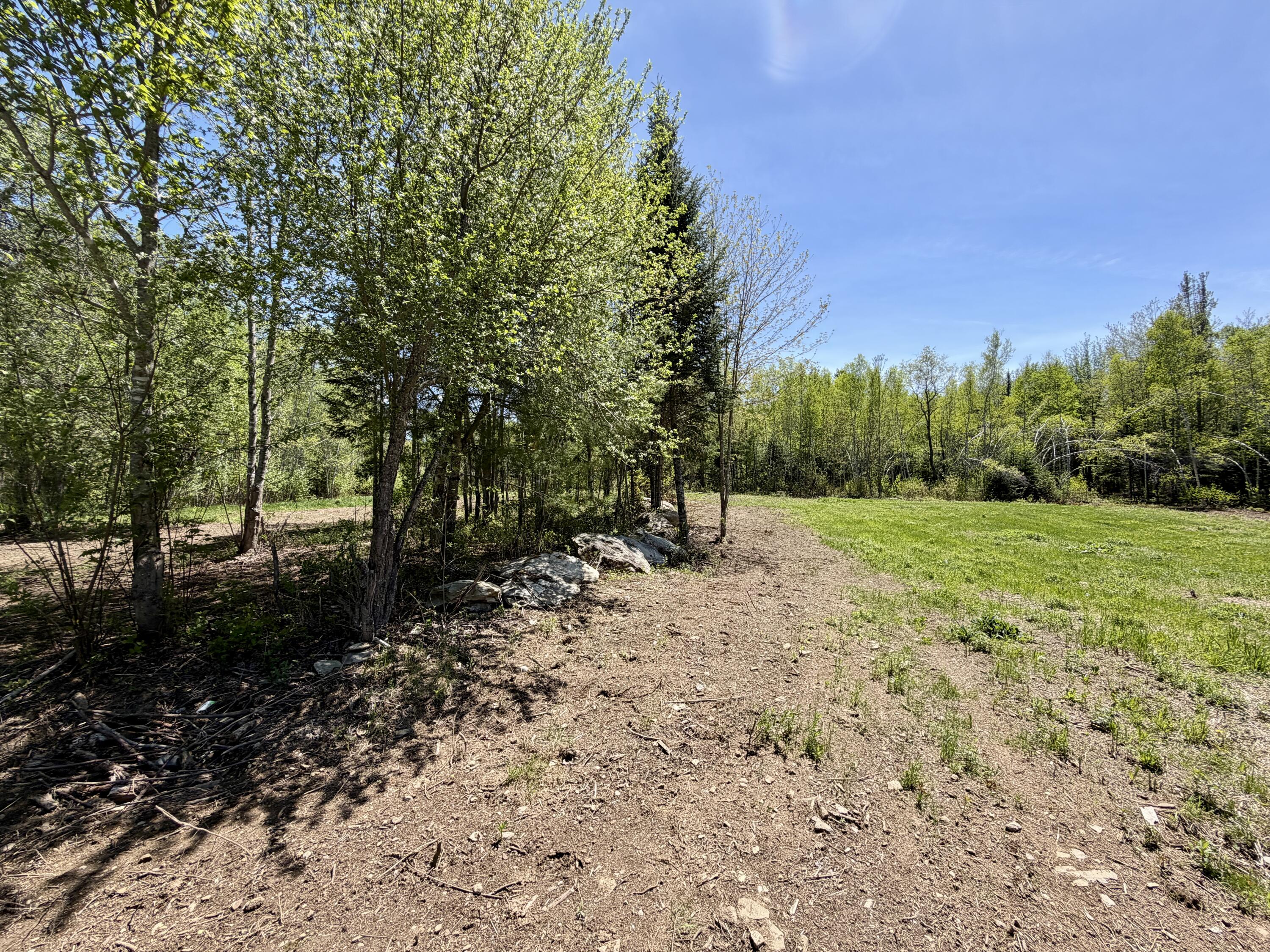 51 Big Boyd Lake Road Property Photo 57