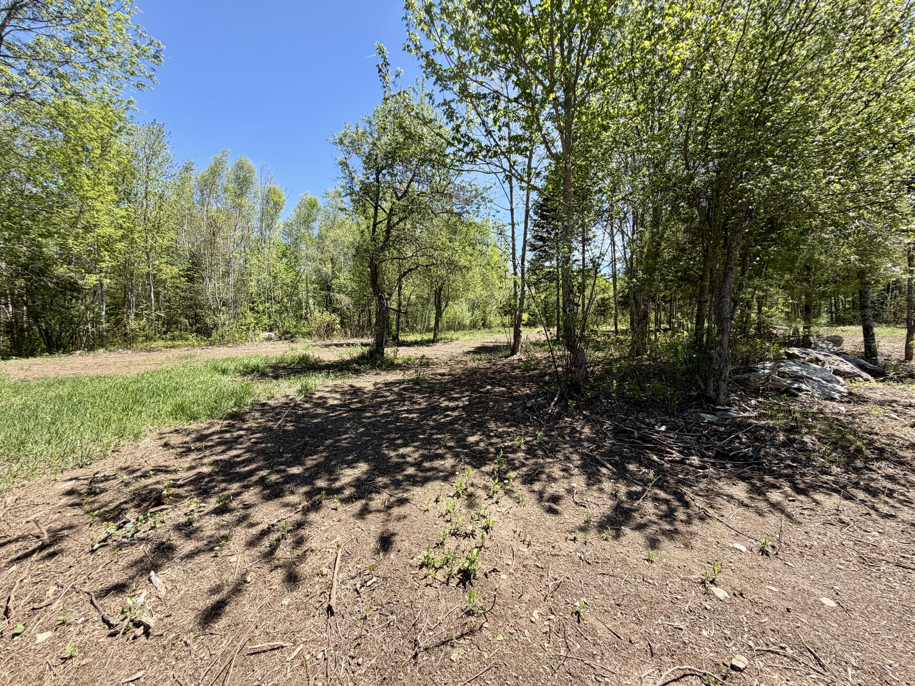 51 Big Boyd Lake Road Property Photo 58