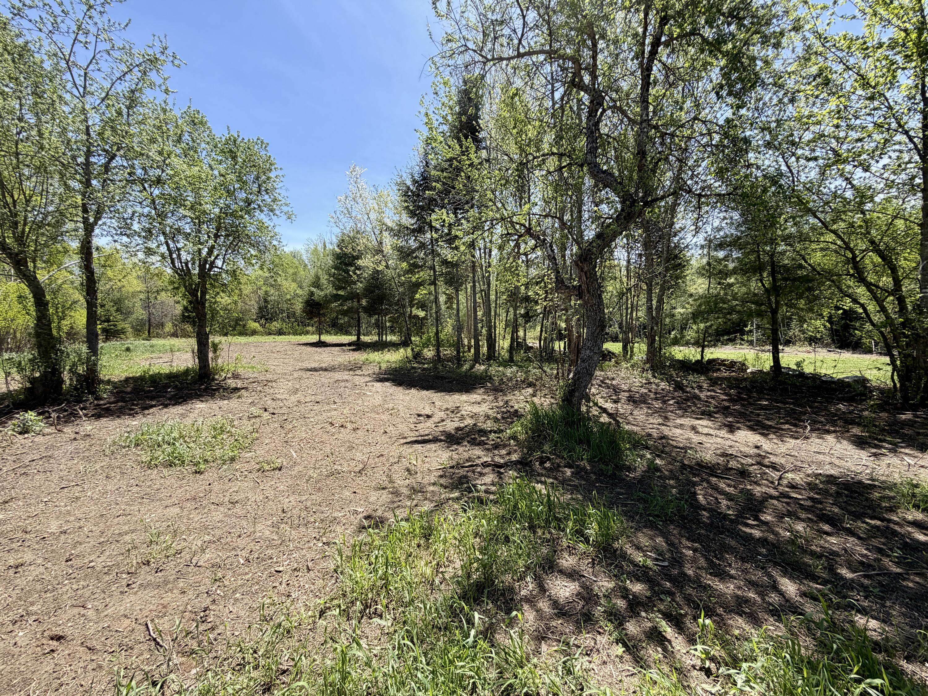 51 Big Boyd Lake Road Property Photo 59