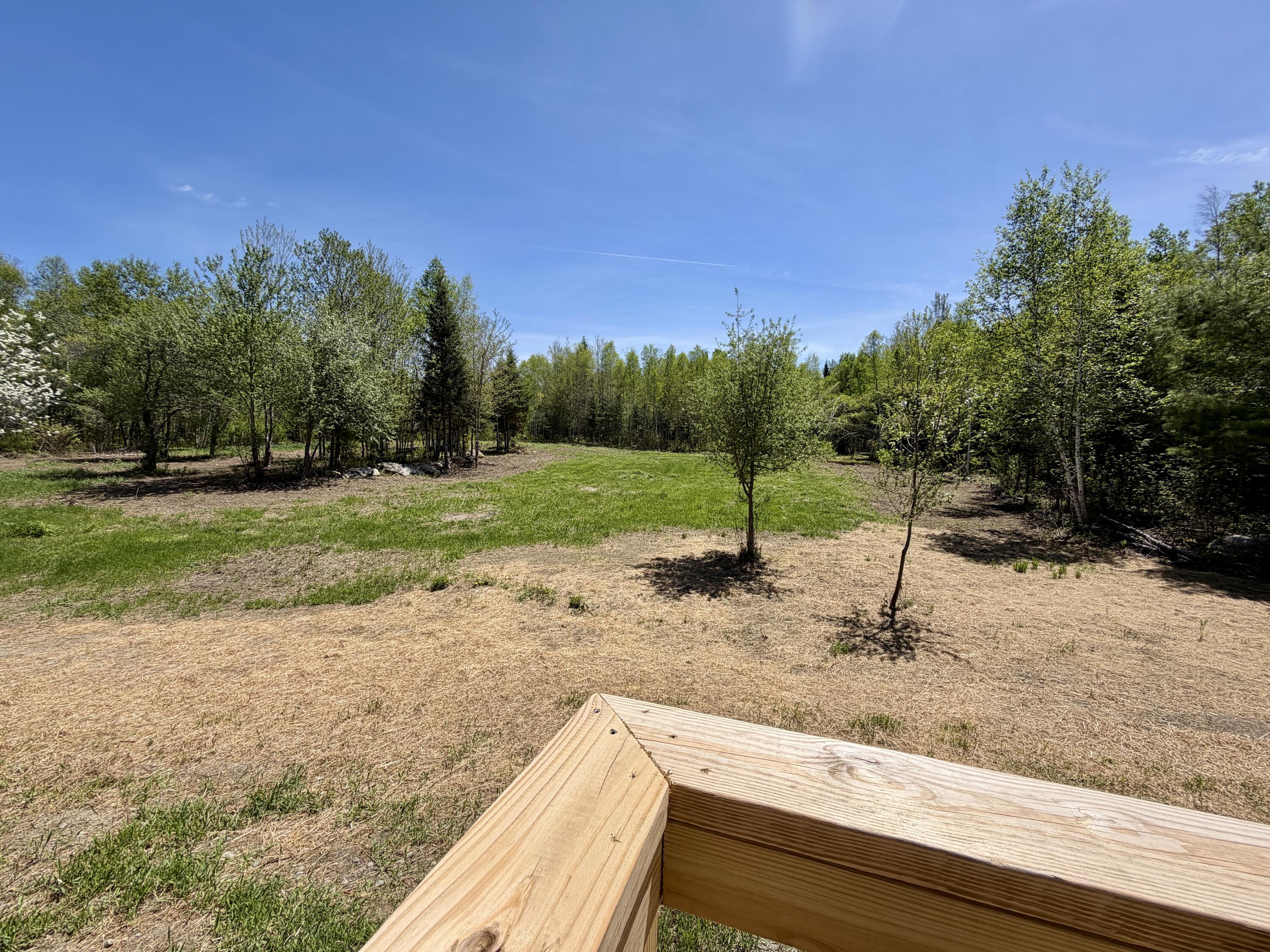 51 Big Boyd Lake Road Property Photo 61