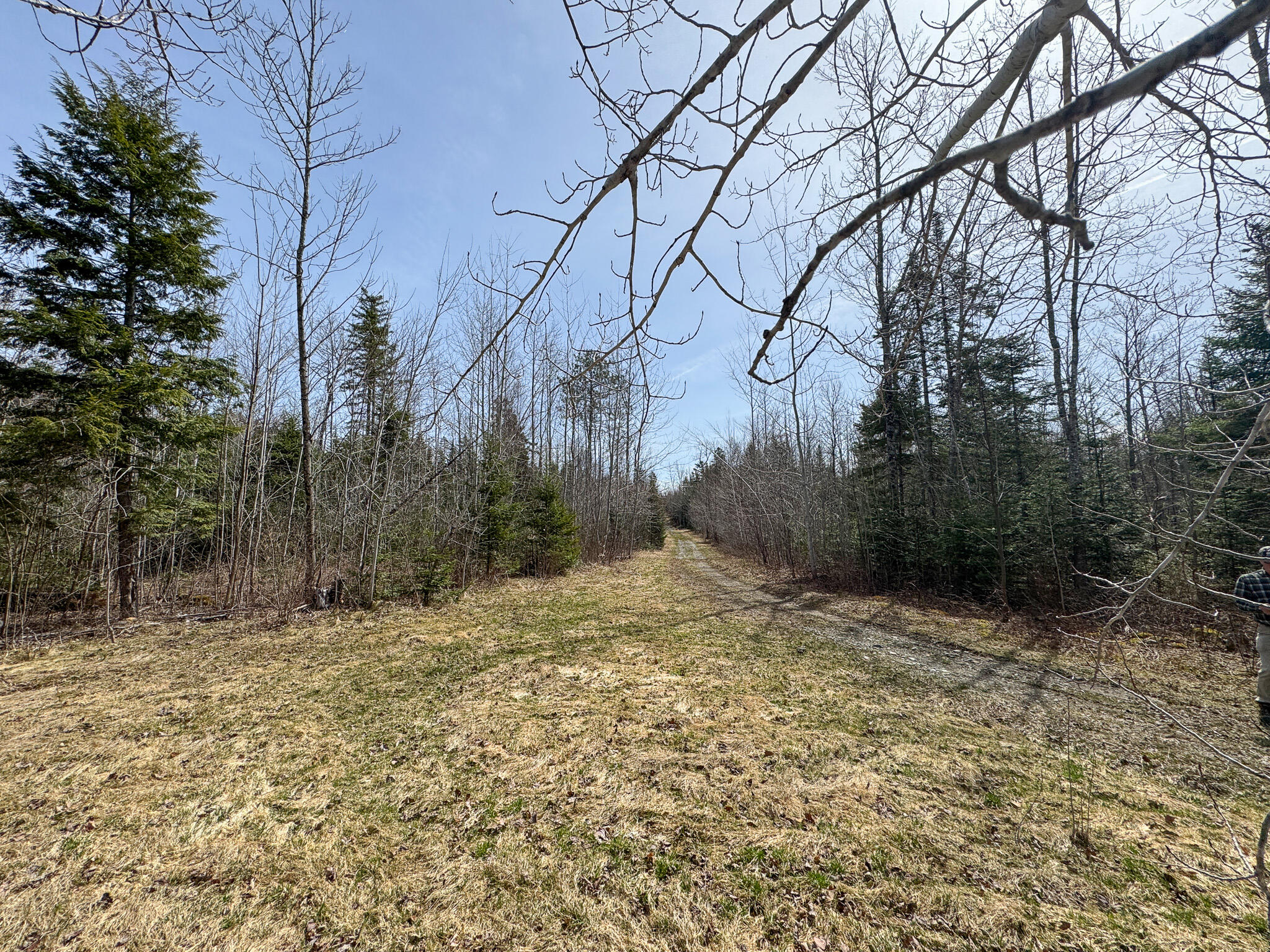 242 Bottle Lake Road Property Photo 34